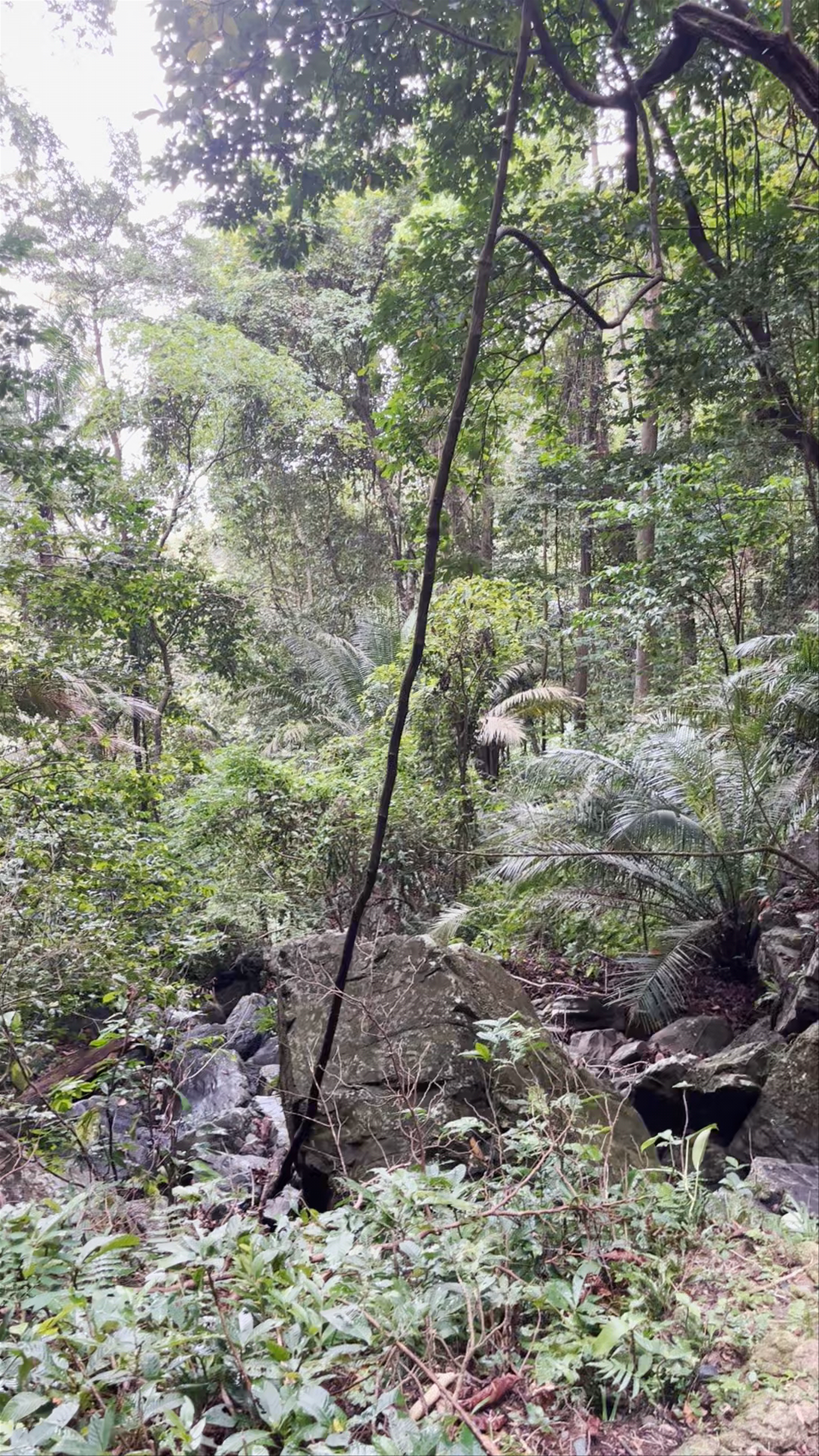 O Qué Pipi Waterfall