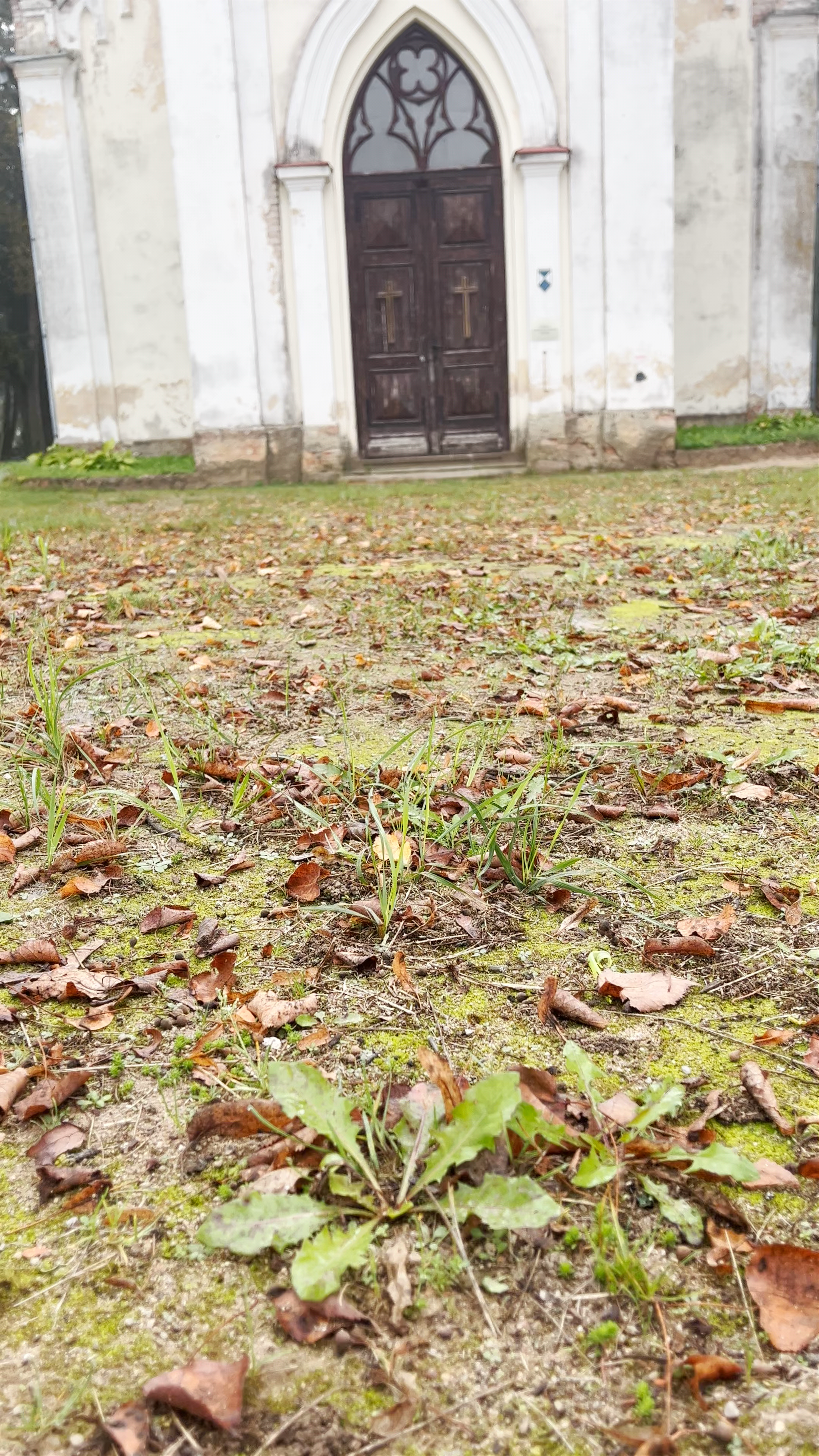 Bārbeles evanģeliski Luteriskā baznīca