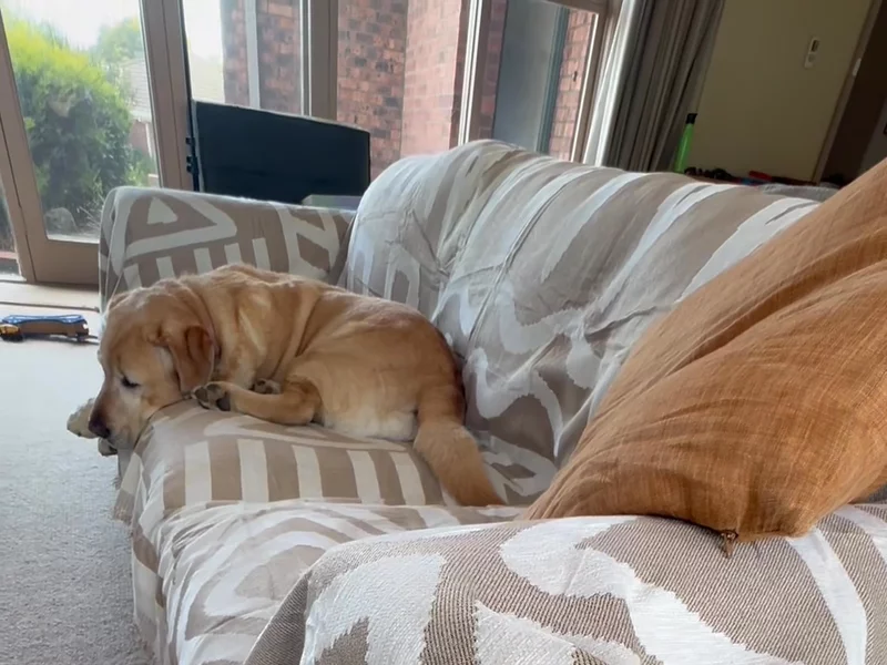 CouchCare
