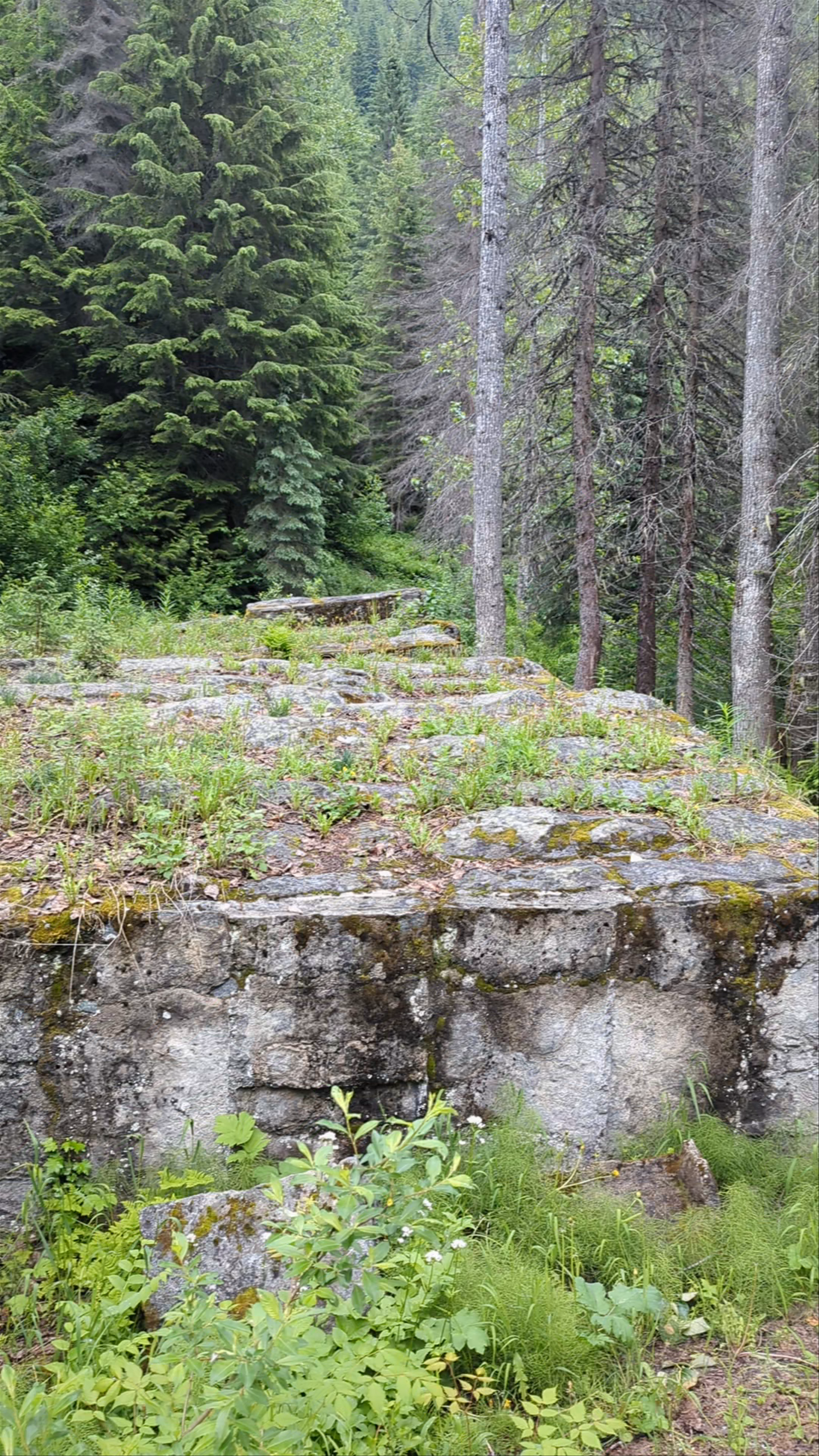 Hemlock Grove Boardwalk