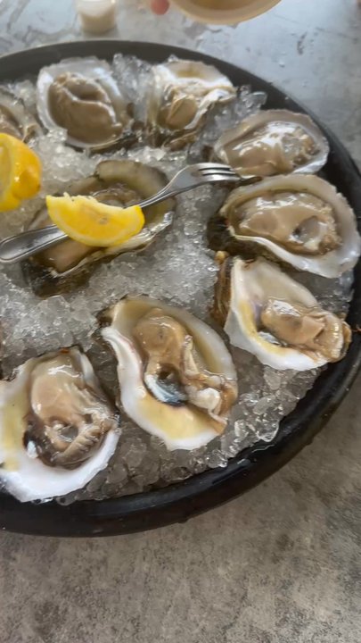Shucks - All of our oysters - Seafood Near Me - Lake Charles, Louisiana