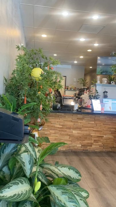 Hello Sweet - Video of interior - Bubble Tea Near Me - Concord, California