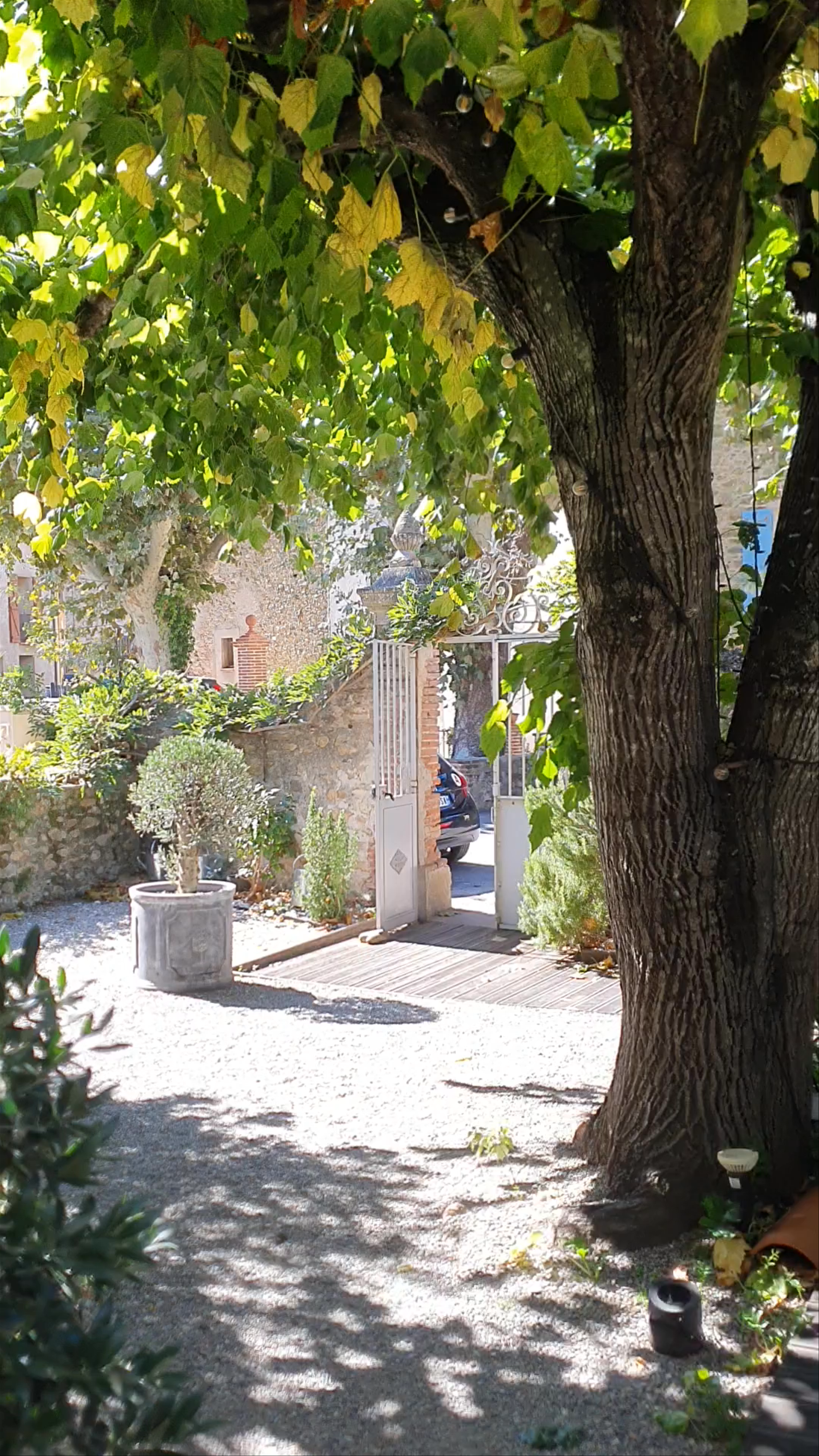 Côté Saisons restaurant BIB MICHELIN et chambres d'hôtes de charme proche Collioure Laroque des Albères