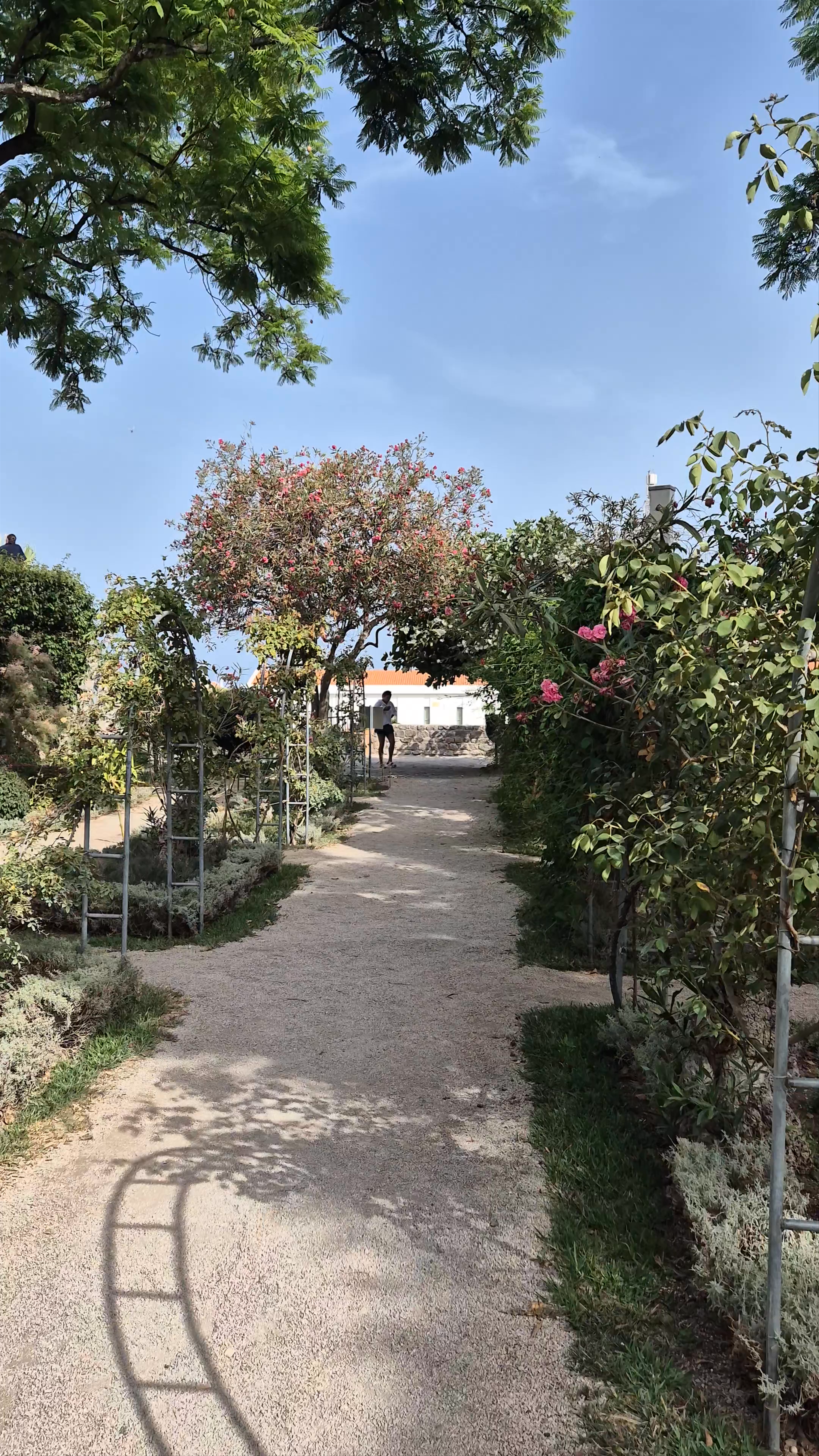 Castelo de Tavira Garden Walk: A Sunlit Oasis in Algarve
