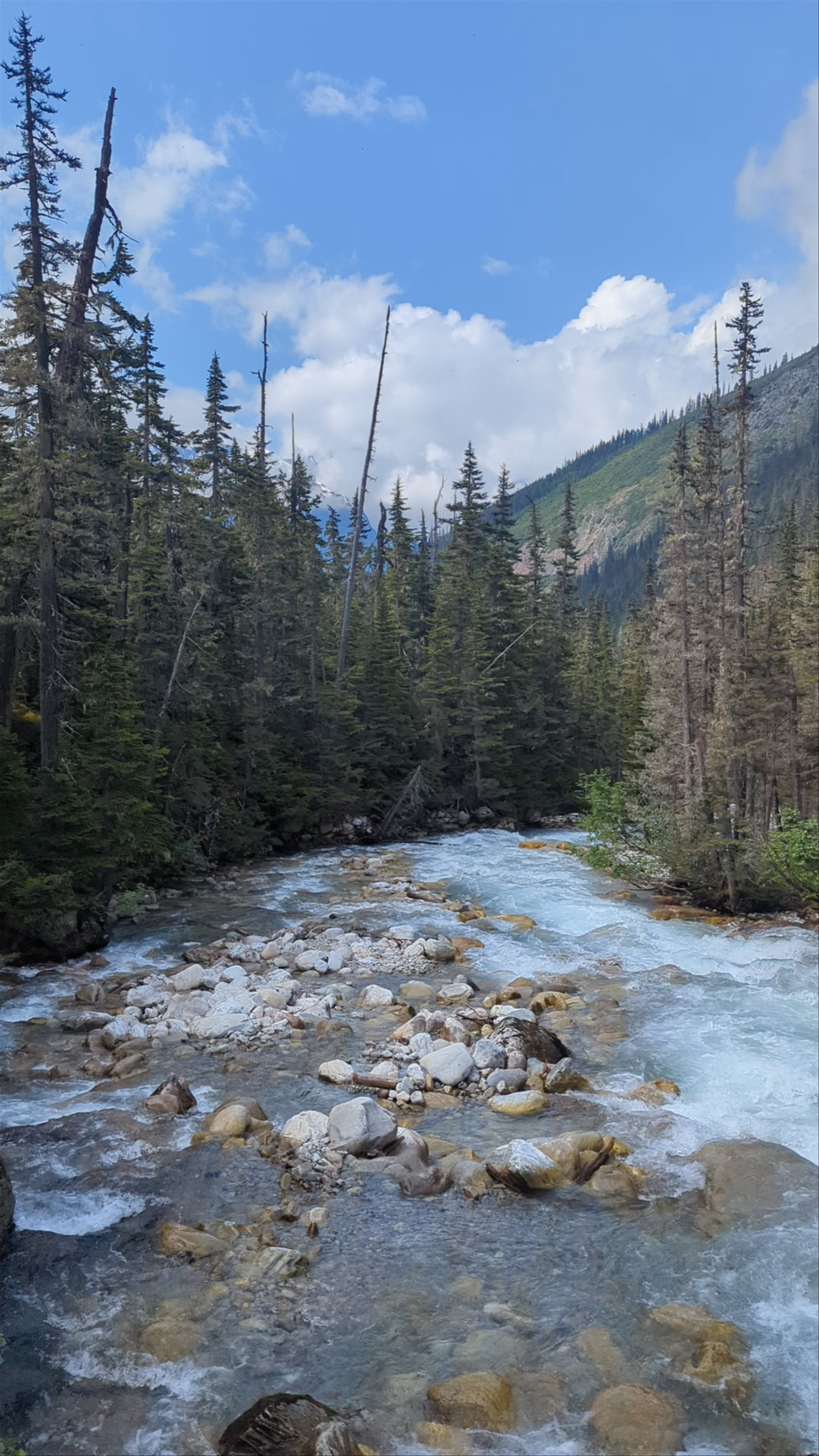 Meeting of the Waters: Majestic River Confluence in Yoho Valley, British Columbia