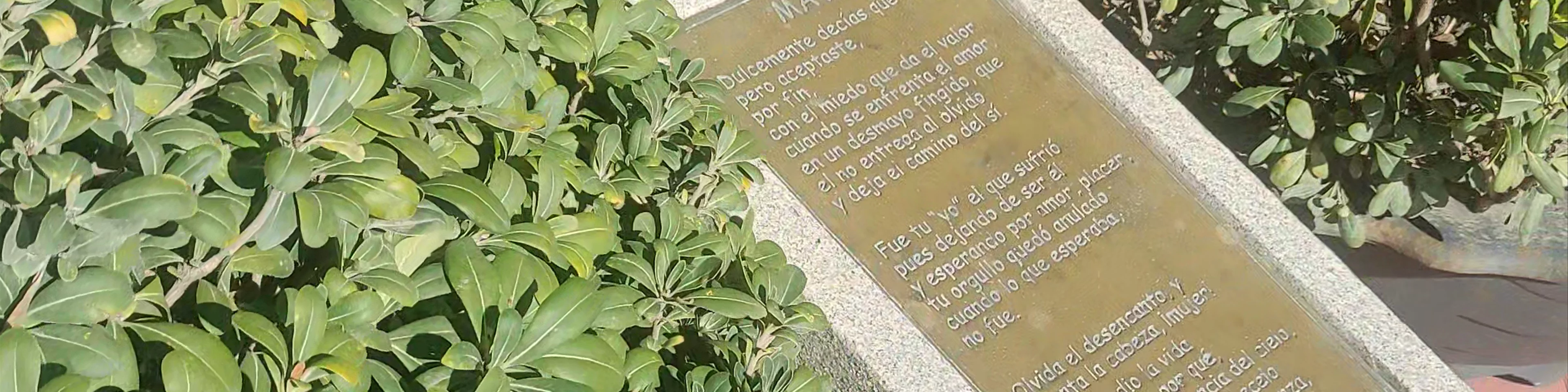 Pl. Ortiz