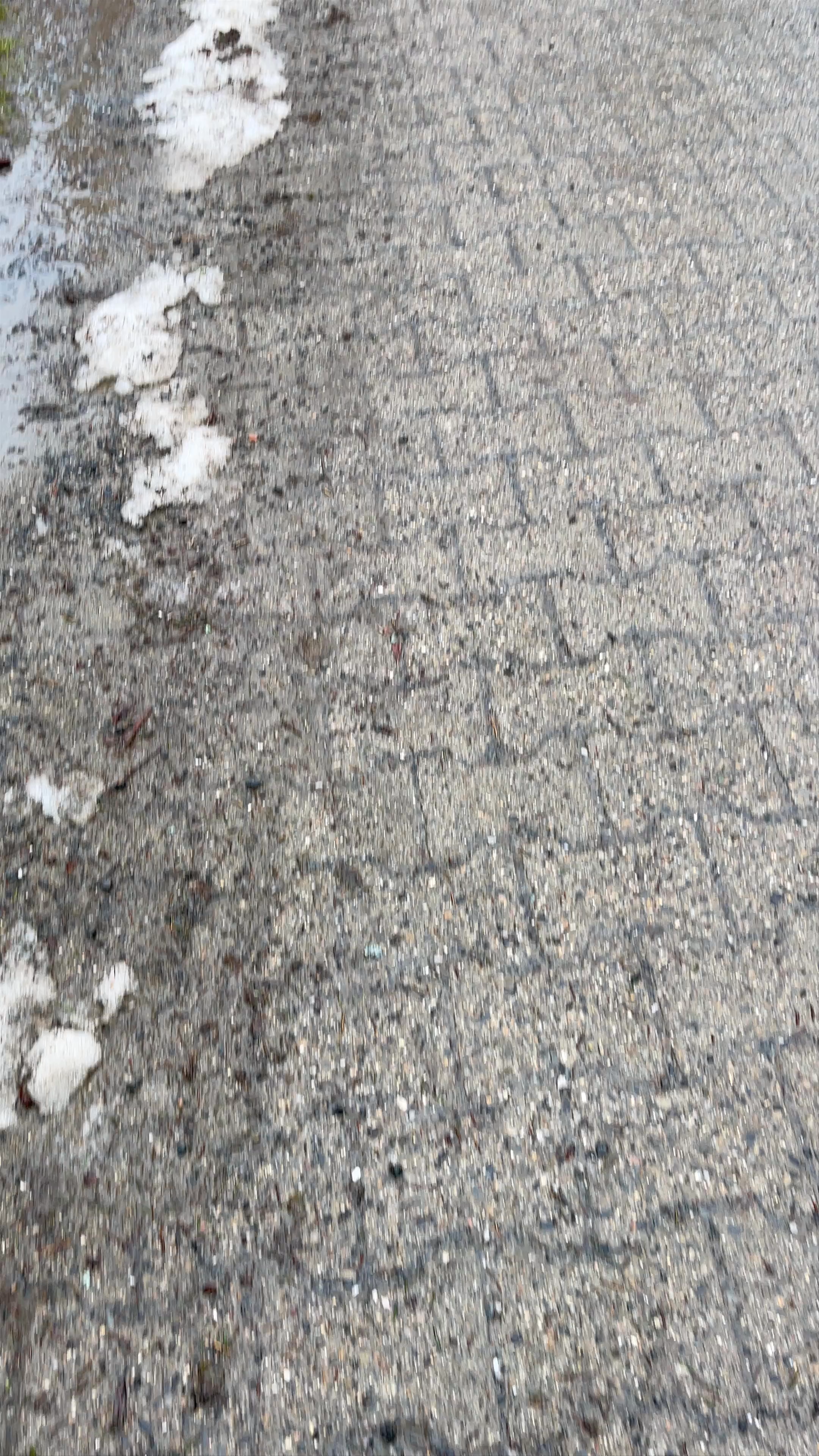 Gustav Adolf Stave Church