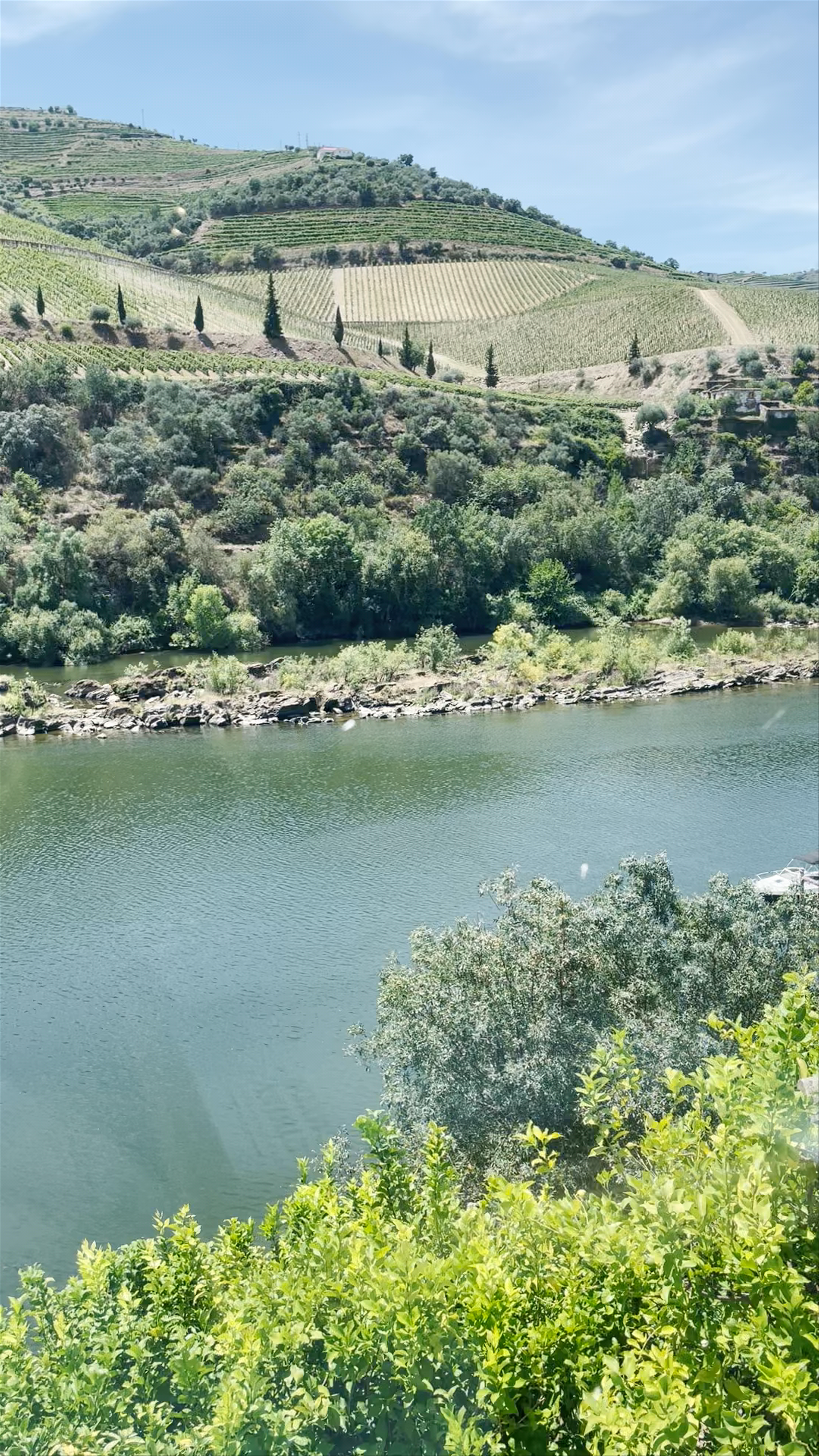 Calça Curta Restaurante Unipessoal Lda.