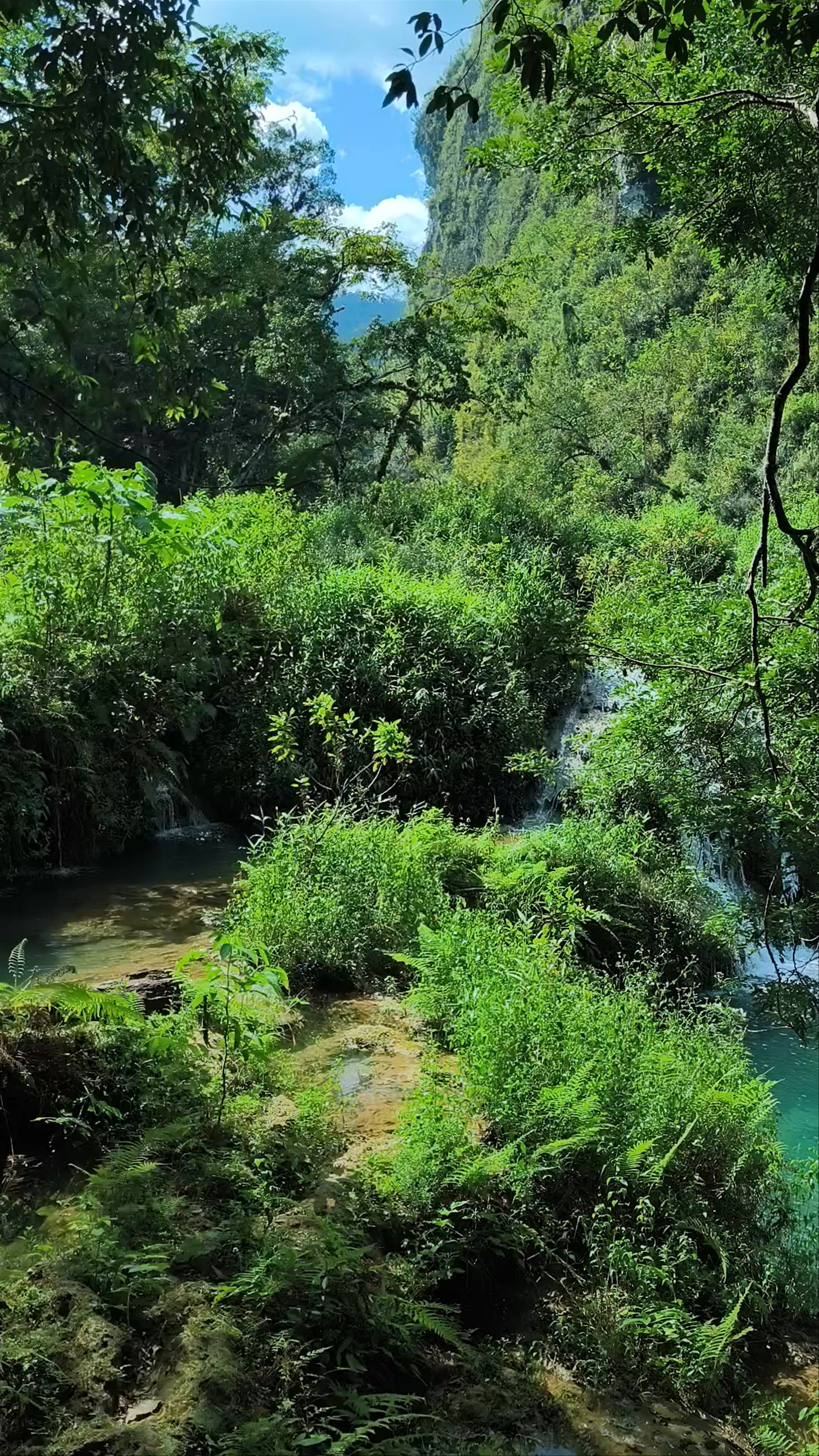 Cascadas río Cahabón