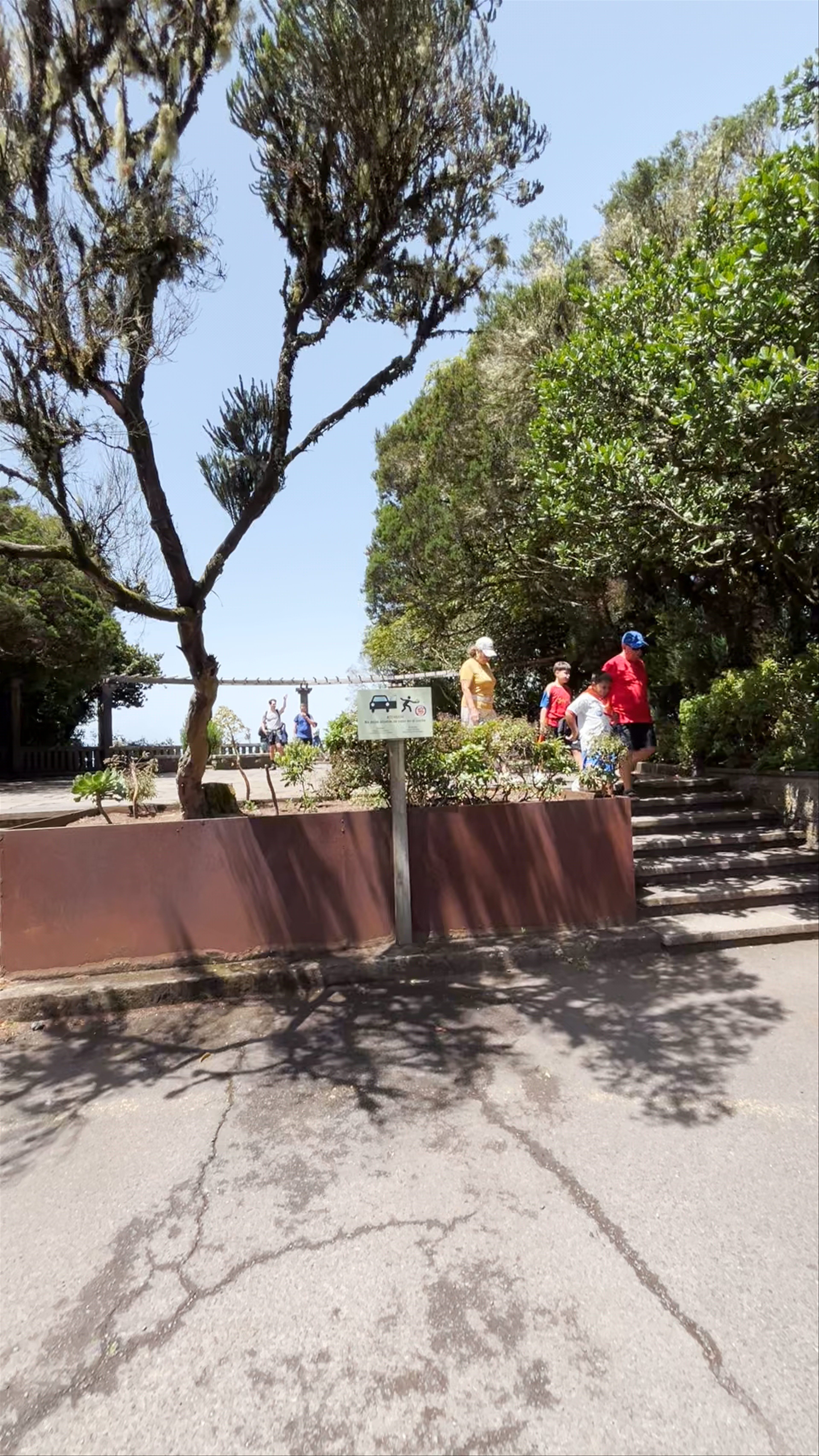 Mirador Cruz del Carmen: Forest Escape in San Cristóbal de La Laguna