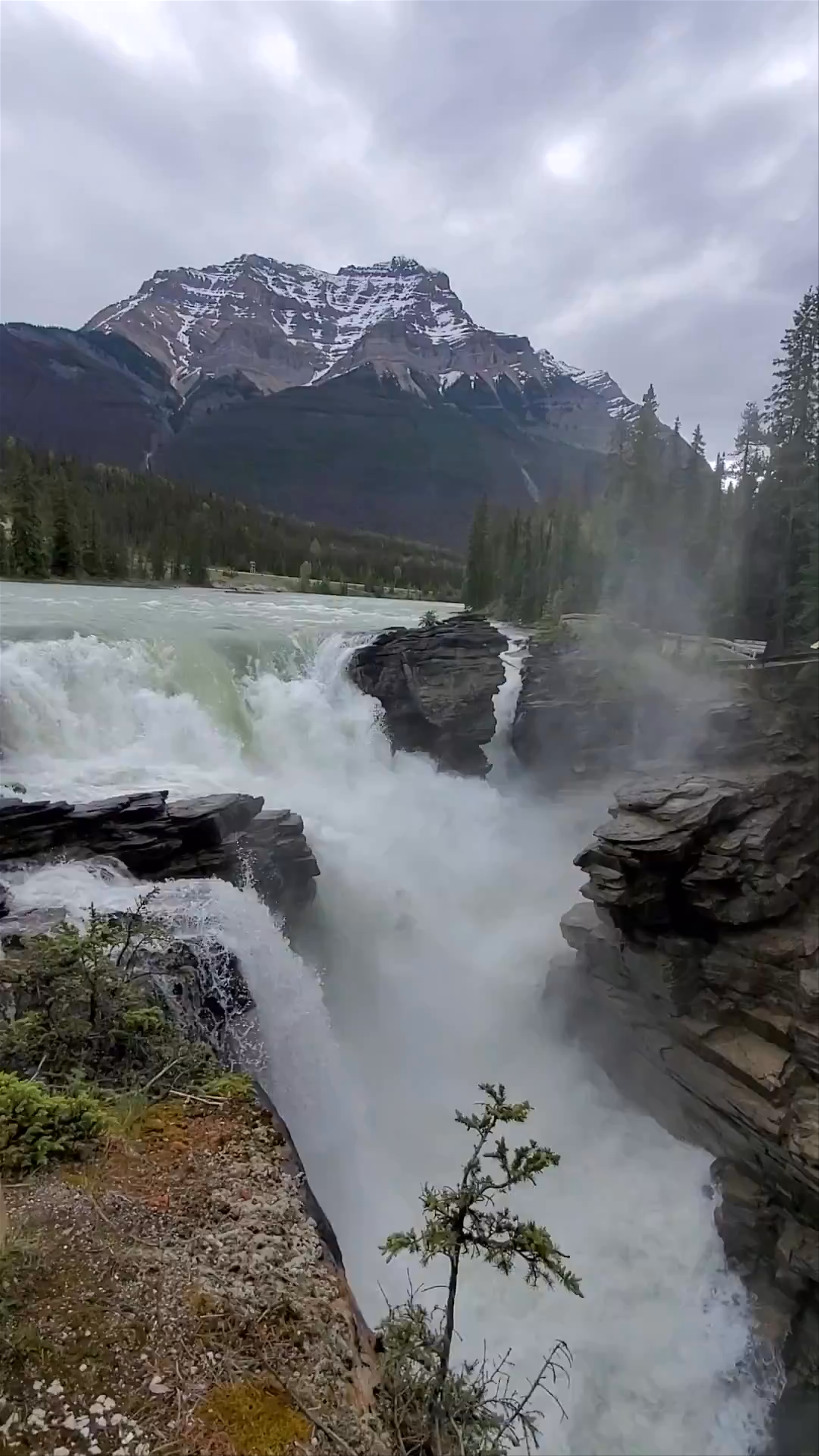 Athabasca Falls