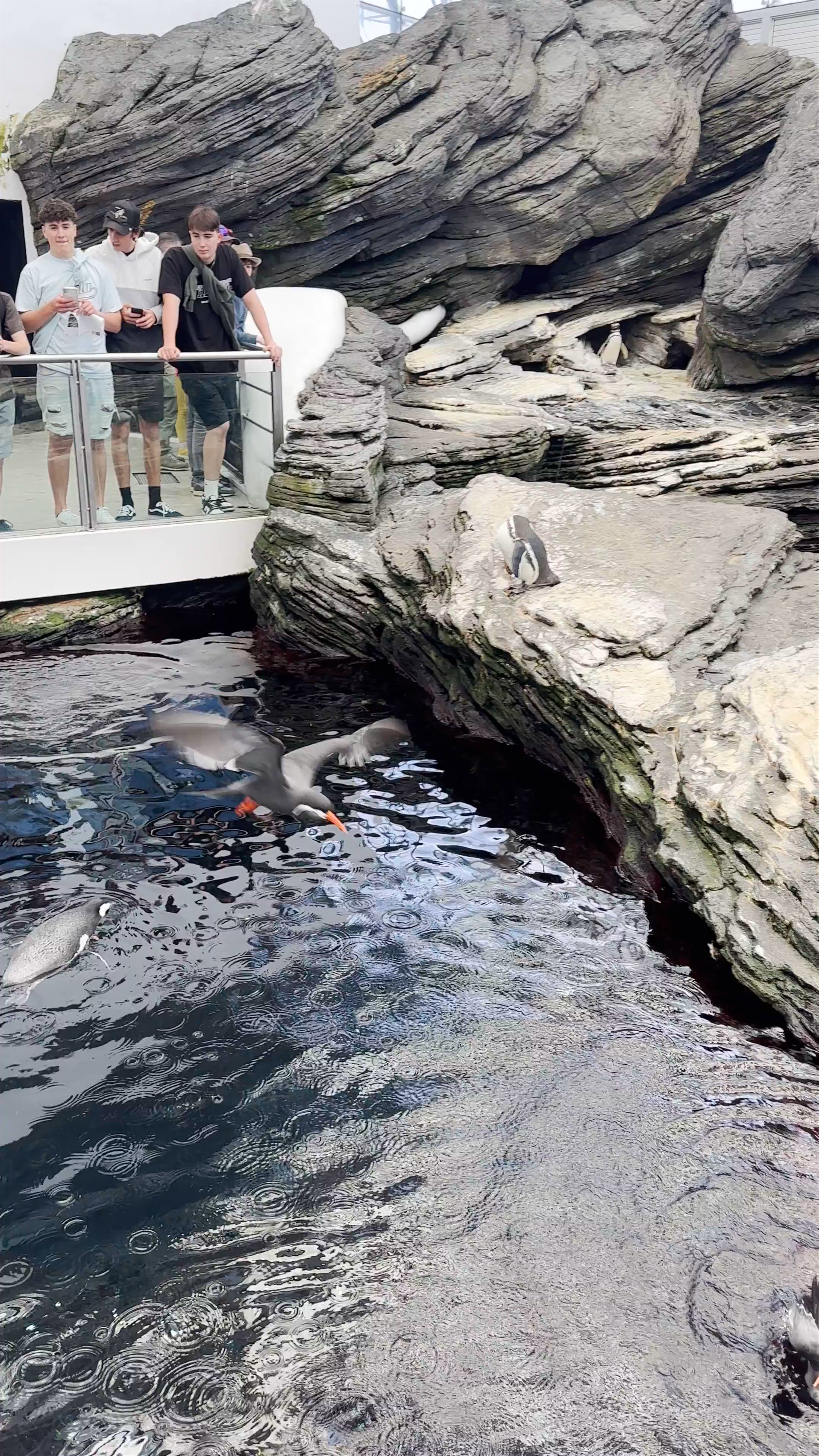 Oceanário de Lisboa