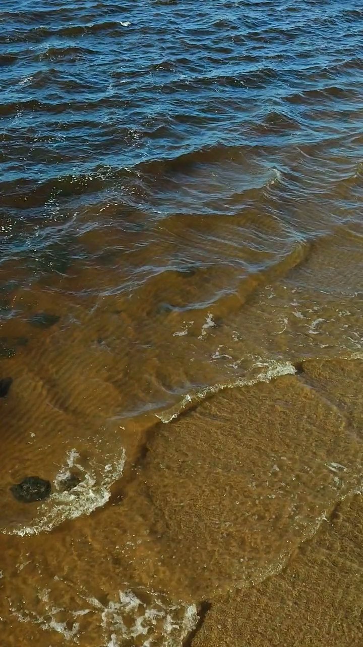take me under
🎥 Kris Møklebust · Pexels
#ocean #underwater #marinelife #nature #relax