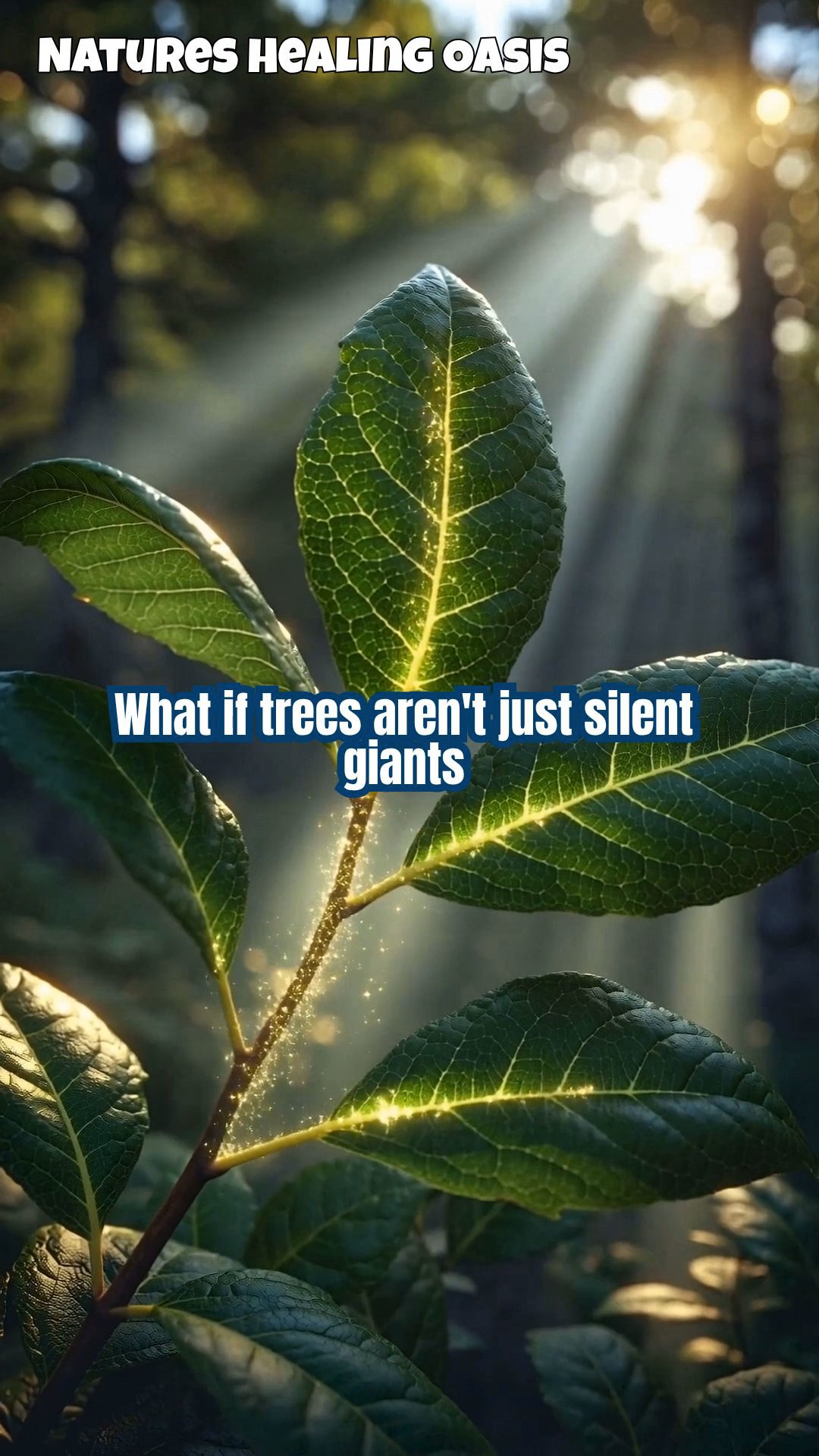 Unlocking Tree Energy: The Science of Life Force Generation