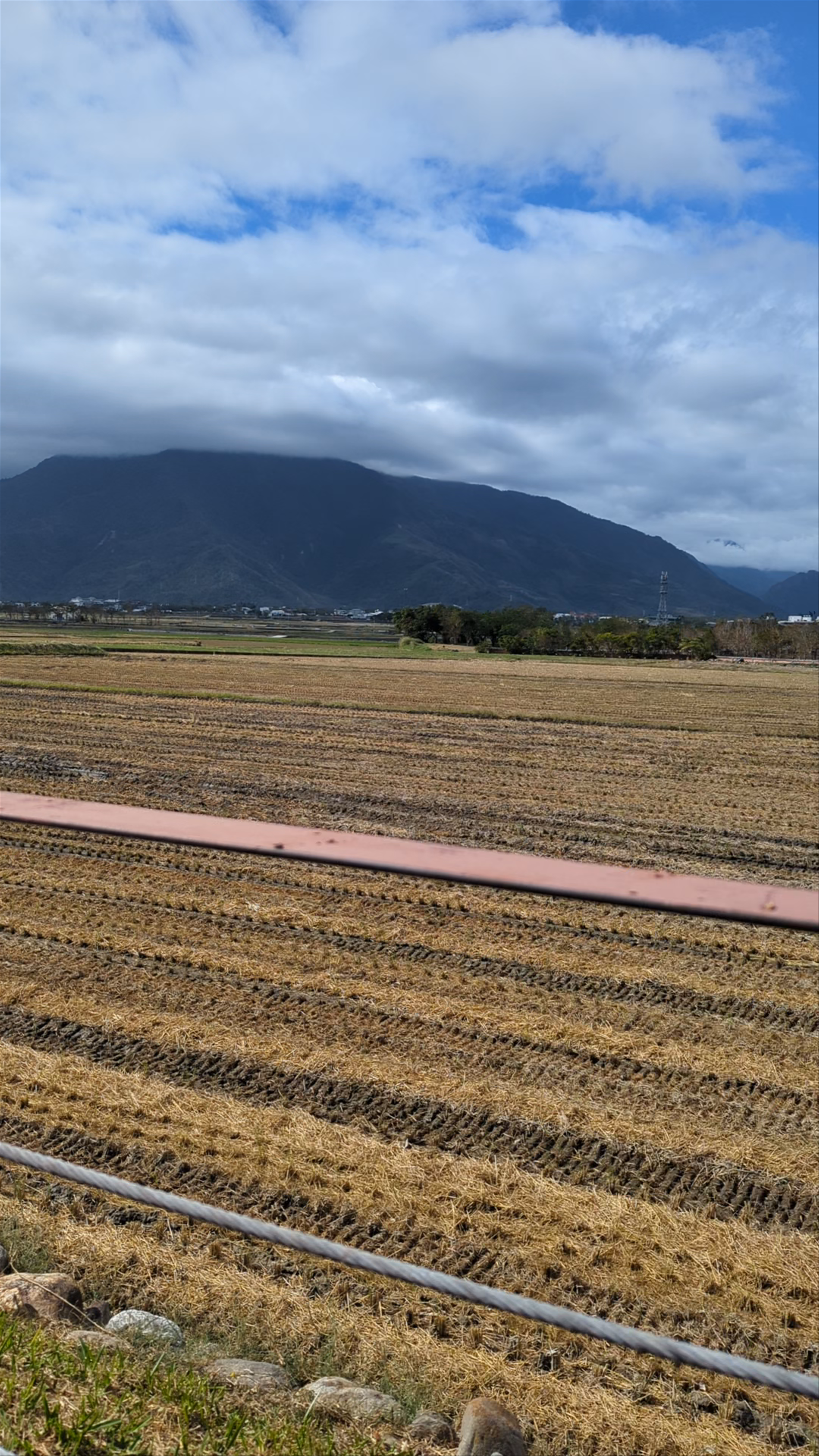 Cycling through Peaceful Farmlands at Chishang Bento, Taiwan