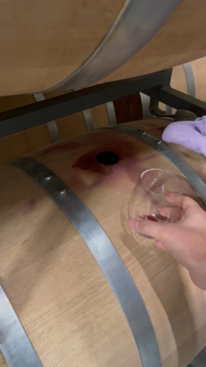 Mercer Wine Estates - Wineries Near Me - Prosser, Washington