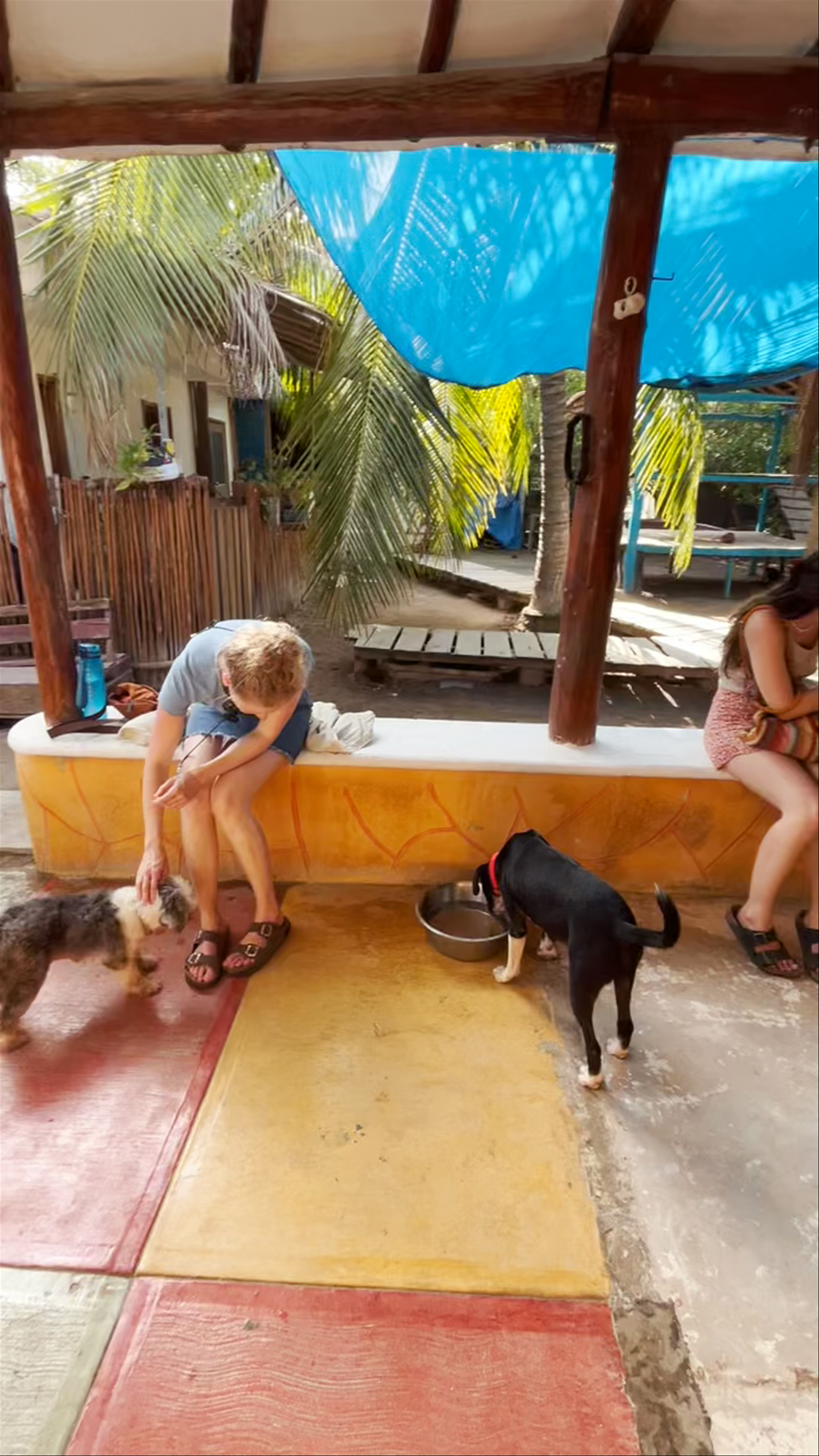 Refugio Holbox Animal Sanctuary