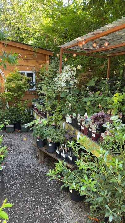 Urban Earth - Nurseries & Gardening Near Me - Seattle, Washington