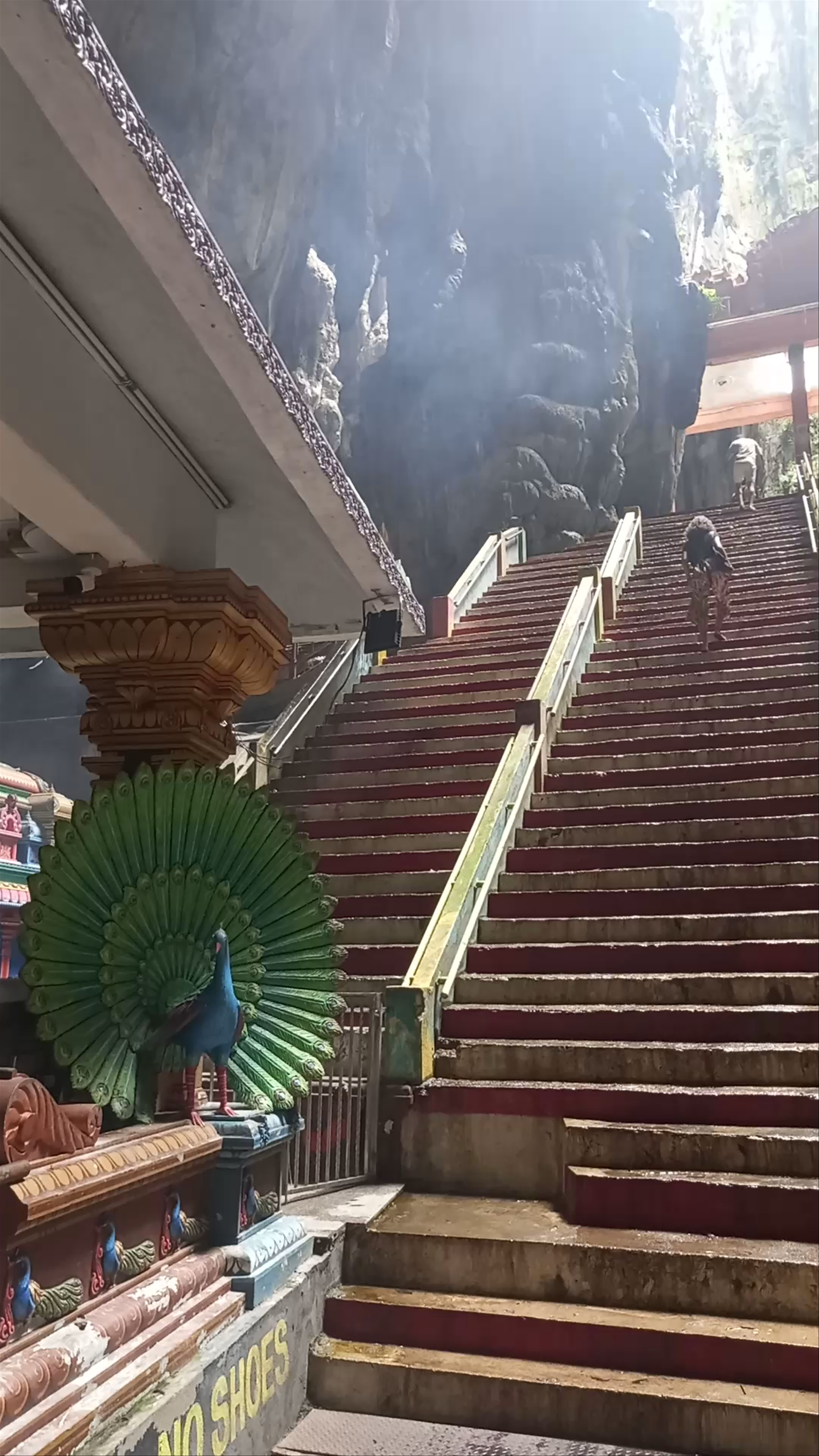 Dark Cave Conservation Site