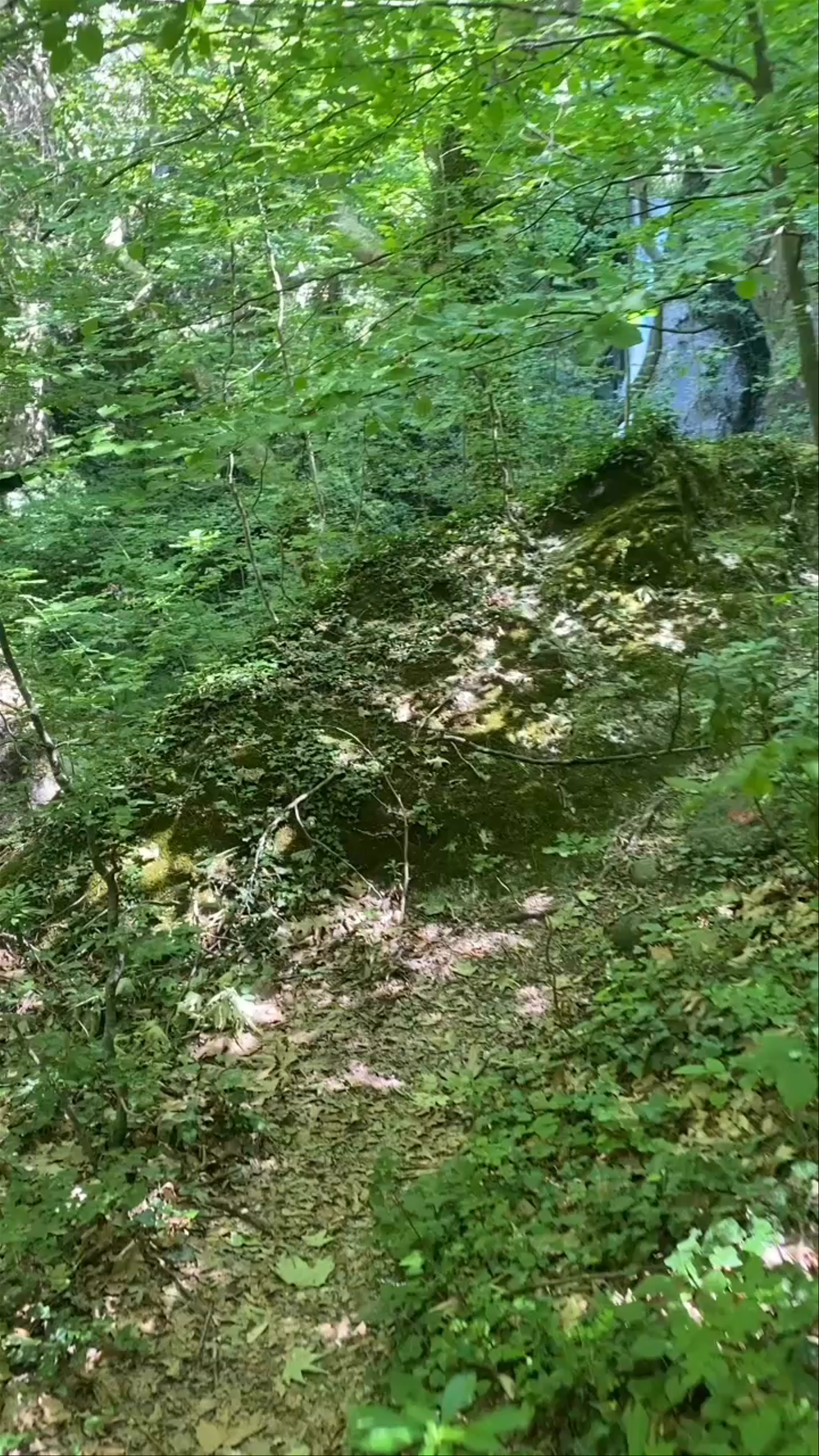 Kounoupitsas Waterfall