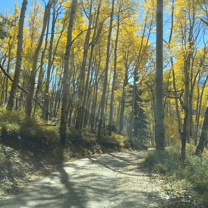Last Dollar Road - Local Flavor Near Me