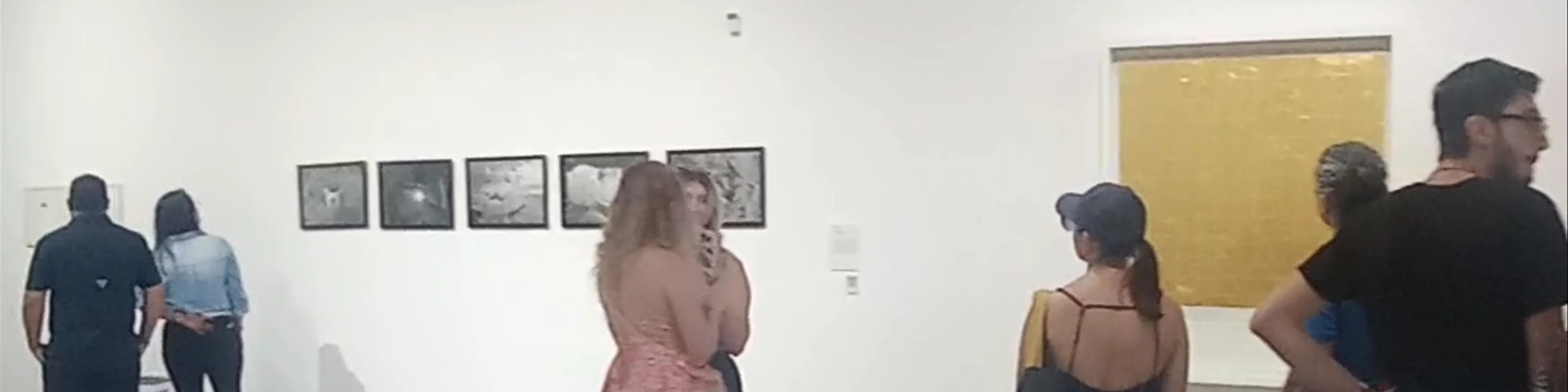 Museo de Arte y Diseño Contemporáneo