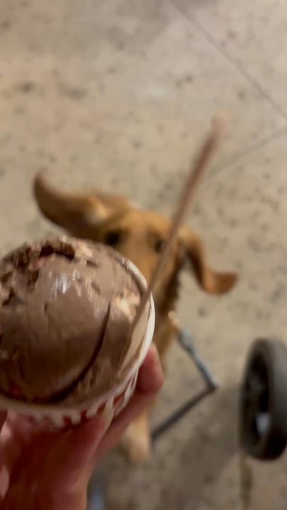 Please Come Again - Ice Cream & Frozen Yogurt Near Me - Kailua, Hawaii