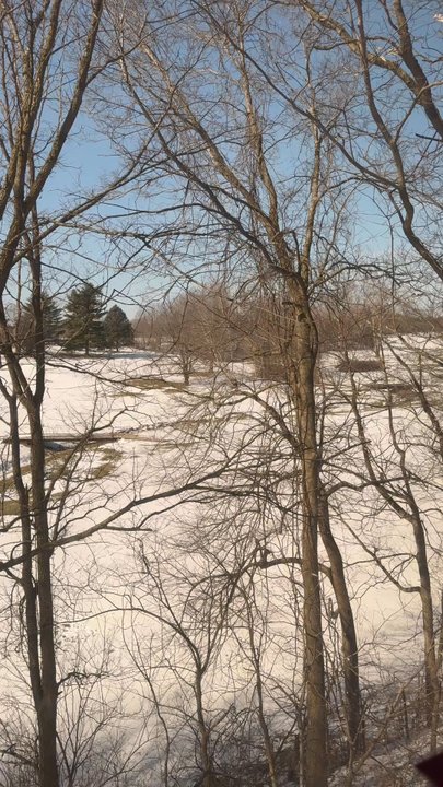 Nickel Plate Express - Trains Near Me - Arcadia, Indiana