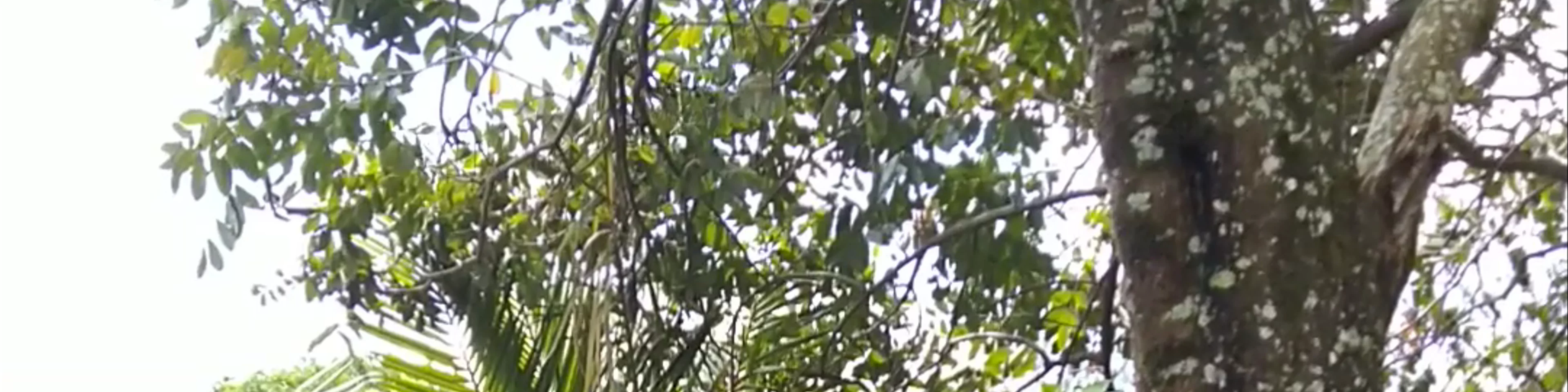 Finca Dos Jefes