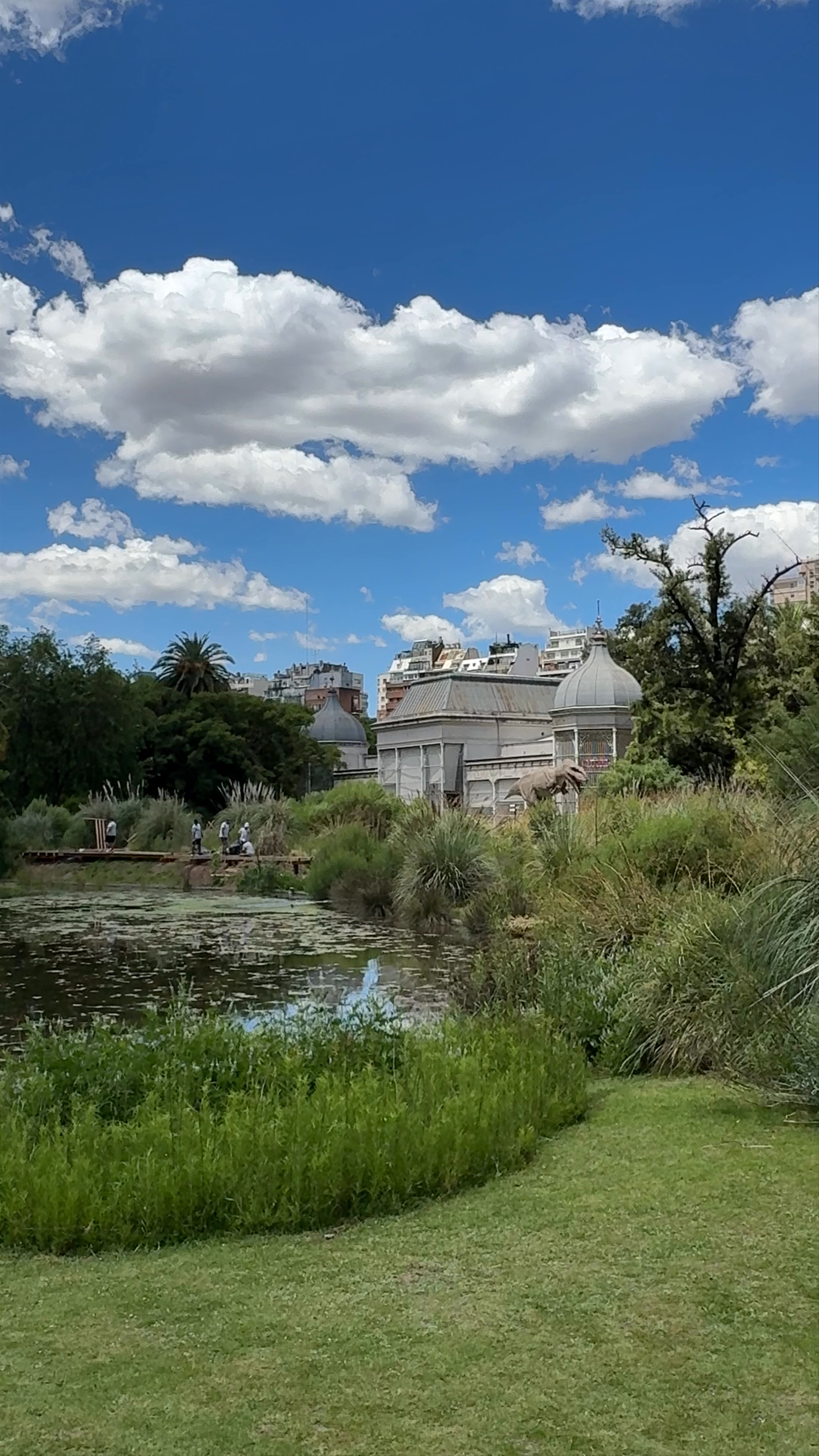 Entrada Ecoparque: Urban Nature Escape in Buenos Aires