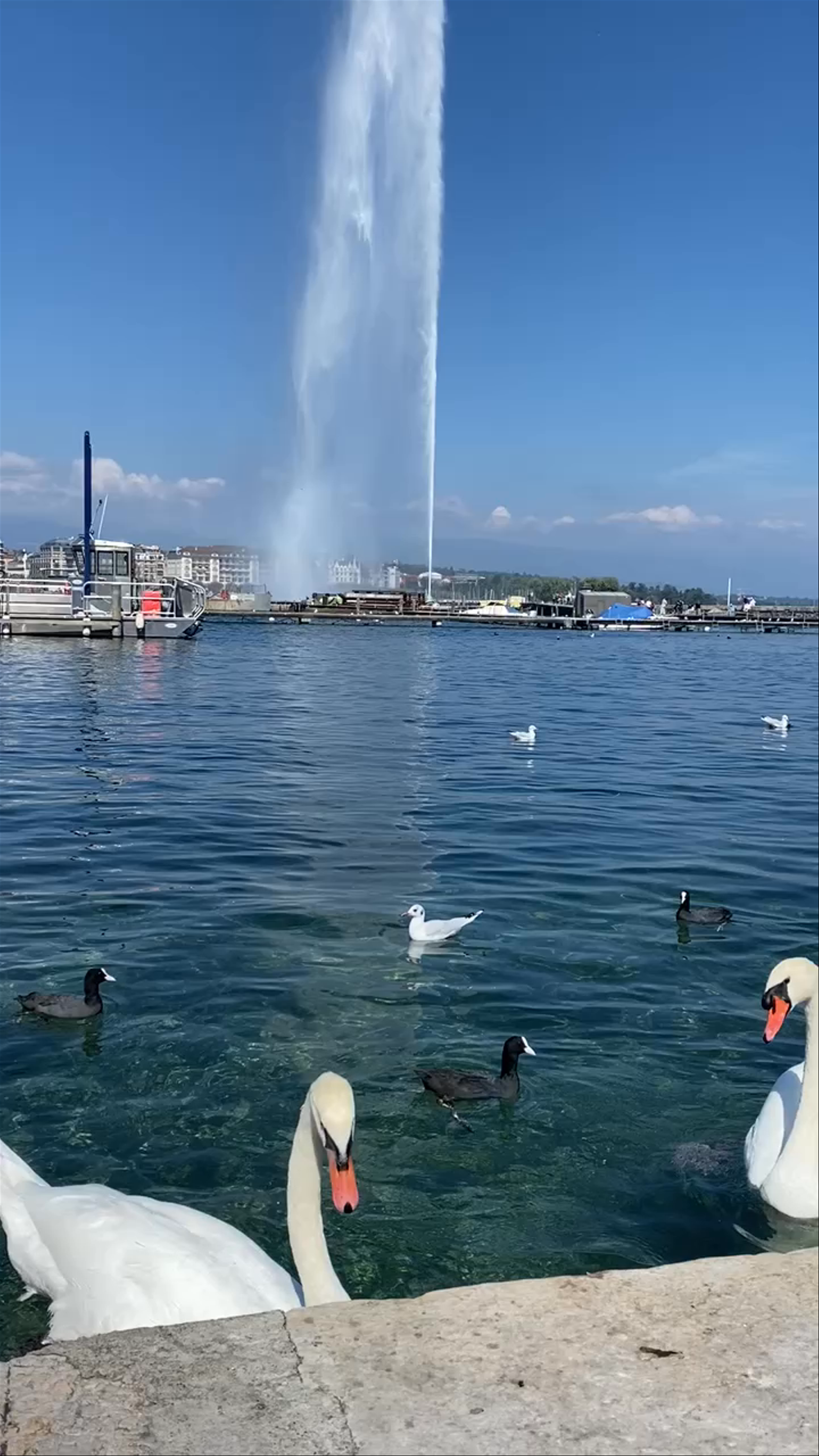 Jet d'Eau
