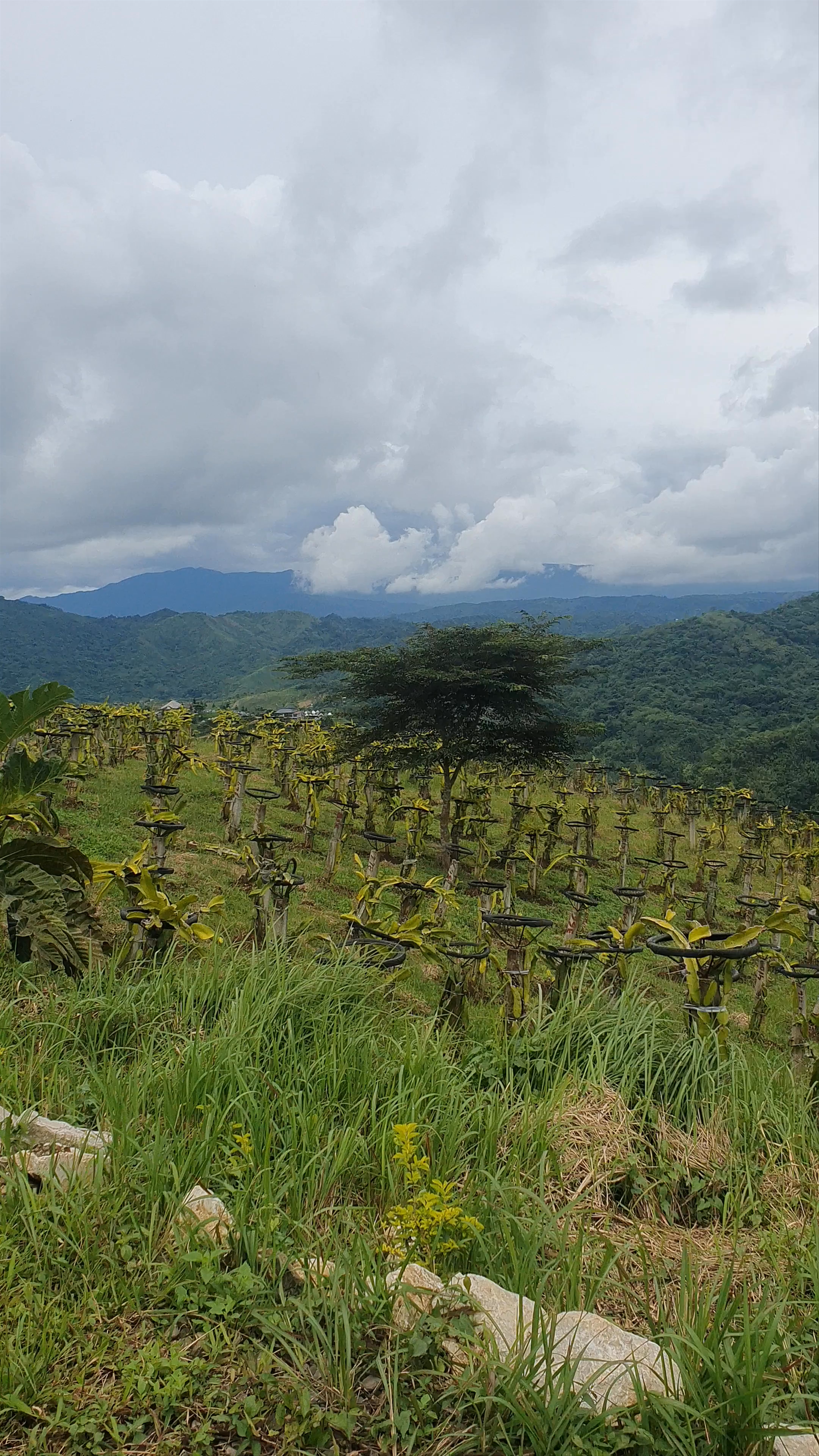 Viewscape Nature's Park