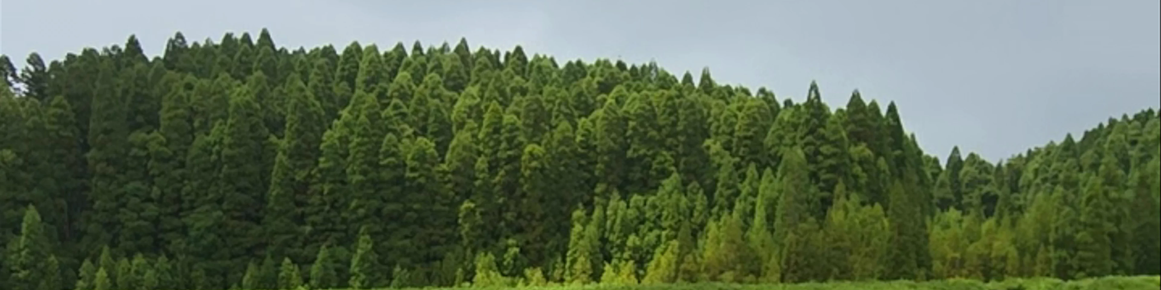 Lagoa do Canario