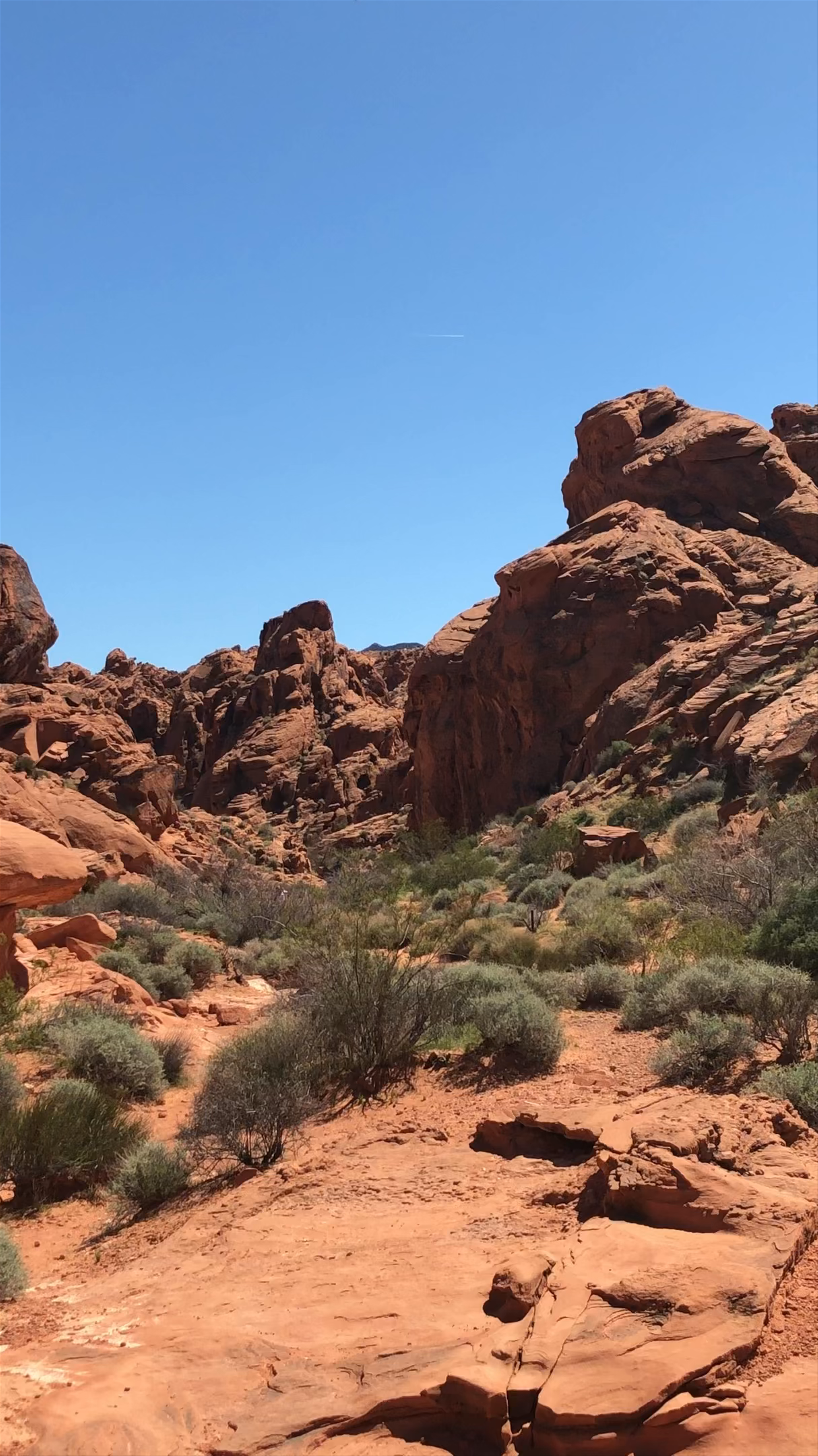Exploring the Fiery Red Rocks of Valley of Fire State Park