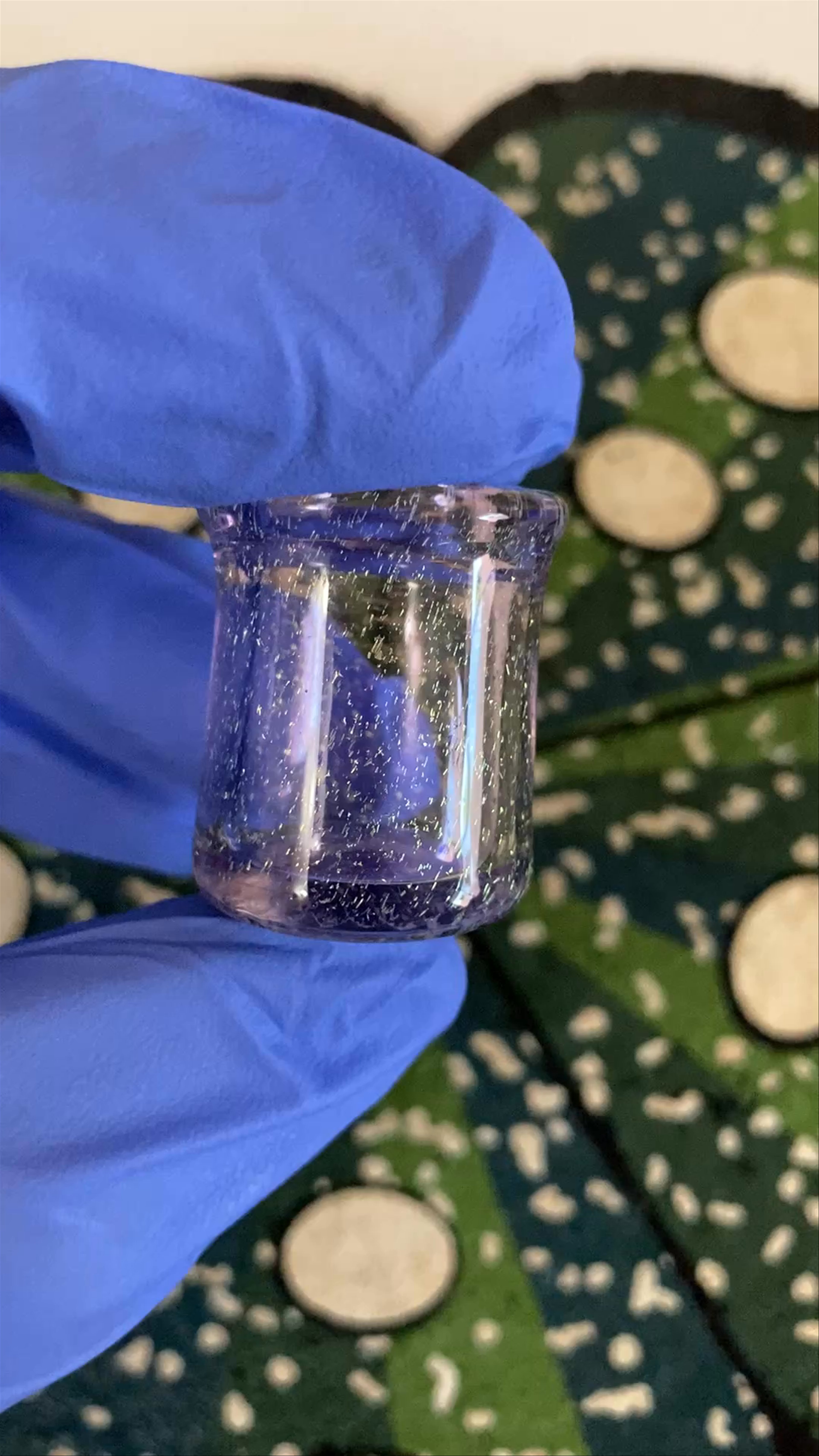 Preview pic of Darby Holm Pearl Jar