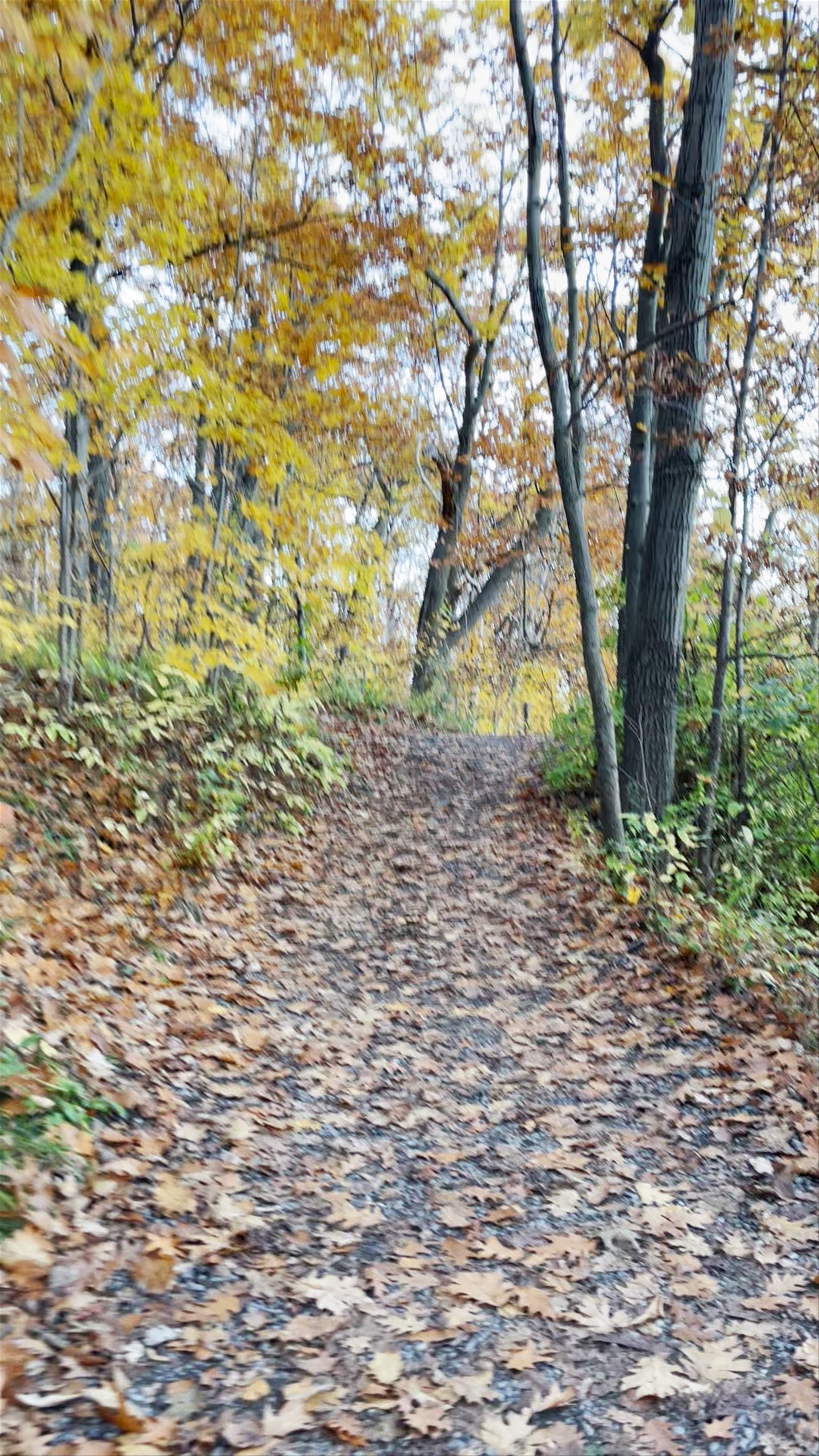 Panoramic View North-East Montreal
