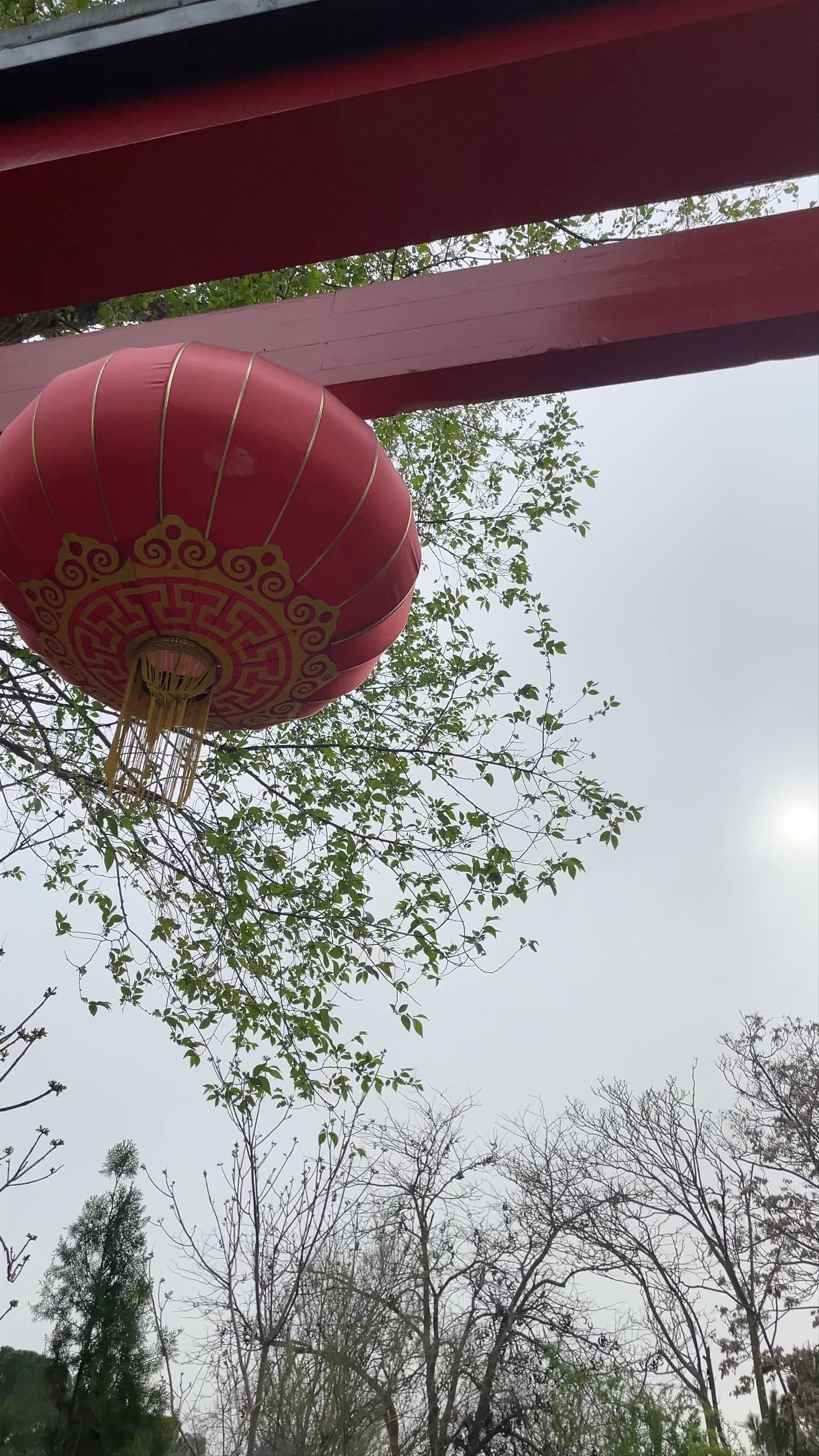 Serene Spring Stroll at Zoo Aquarium de Madrid in Casa de Campo