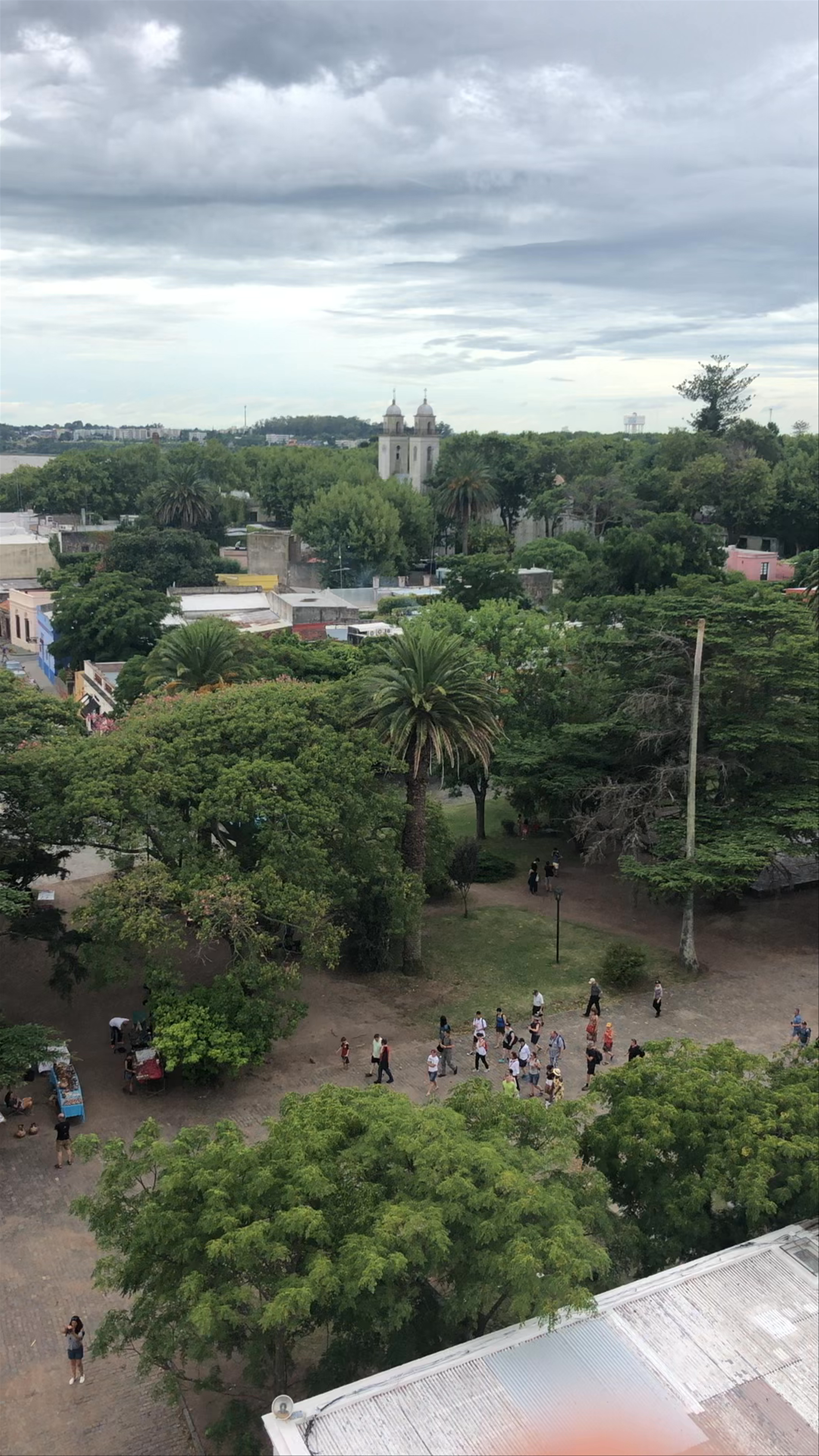 Edificio Torre Colonia