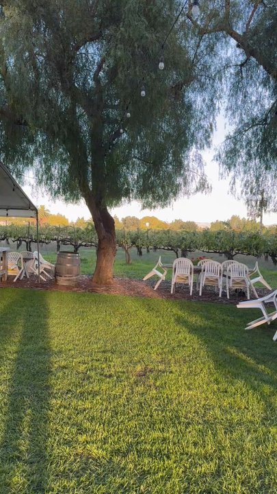 Retzlaff Vineyards - Lovely venue - Wineries Near Me - Livermore, California