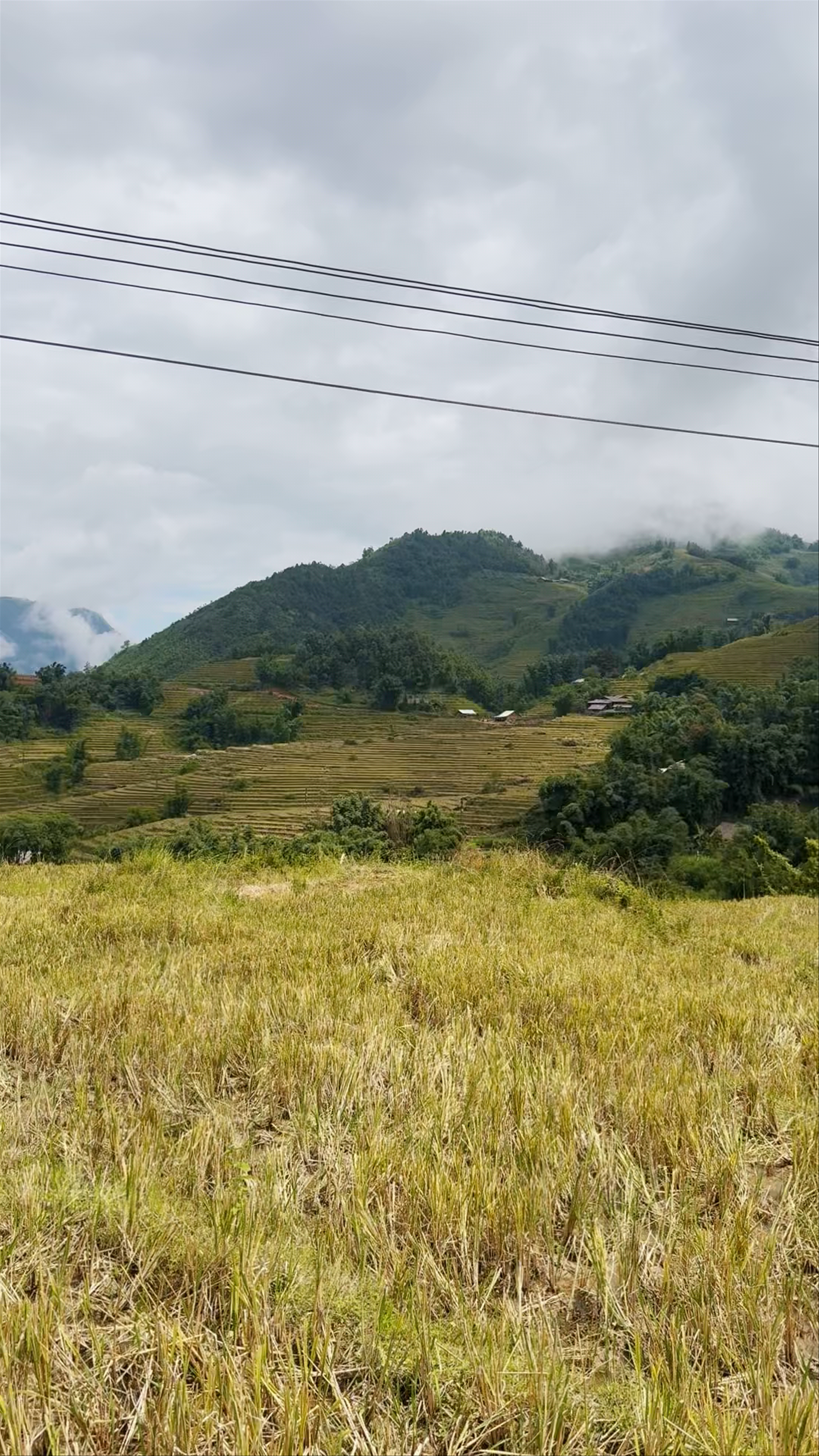 Big Tree Hmong Homestay