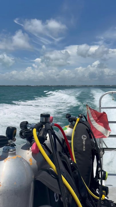Rainbow Reef Dive Center - Scuba Diving Near Me - Key Largo, Florida