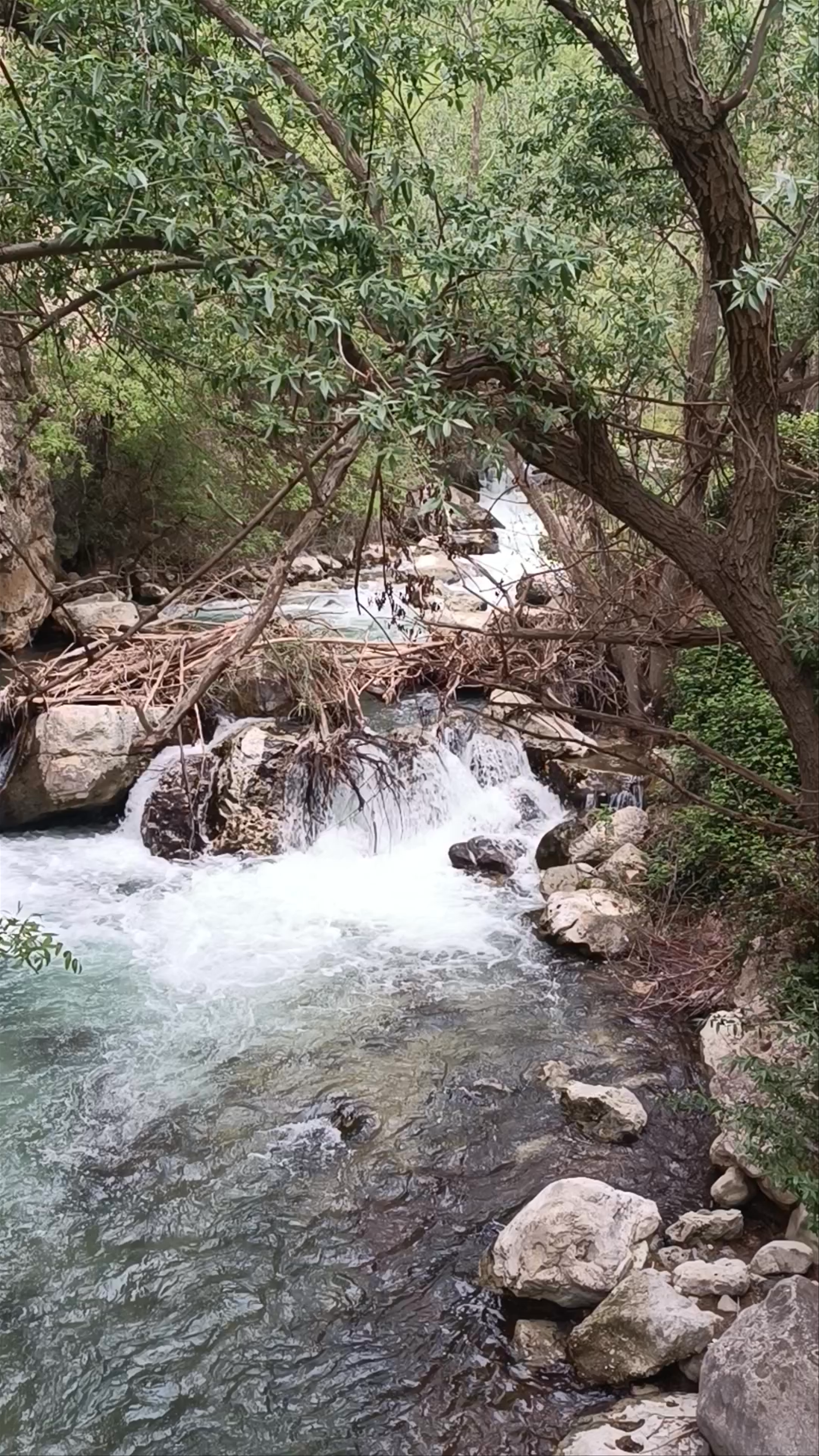 El Sendero de la Cerrada del Rio Castril: Nature's Hidden Cascade in Andalucía