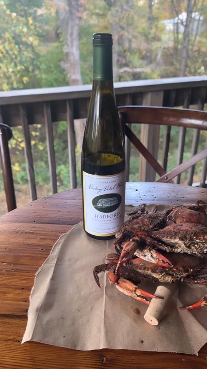 Harford Vineyard & Winery - Byoc!  bring your own crabs.  Goes great with the Vintage Vidal white. - Wineries Near Me - Forest Hill, Maryland