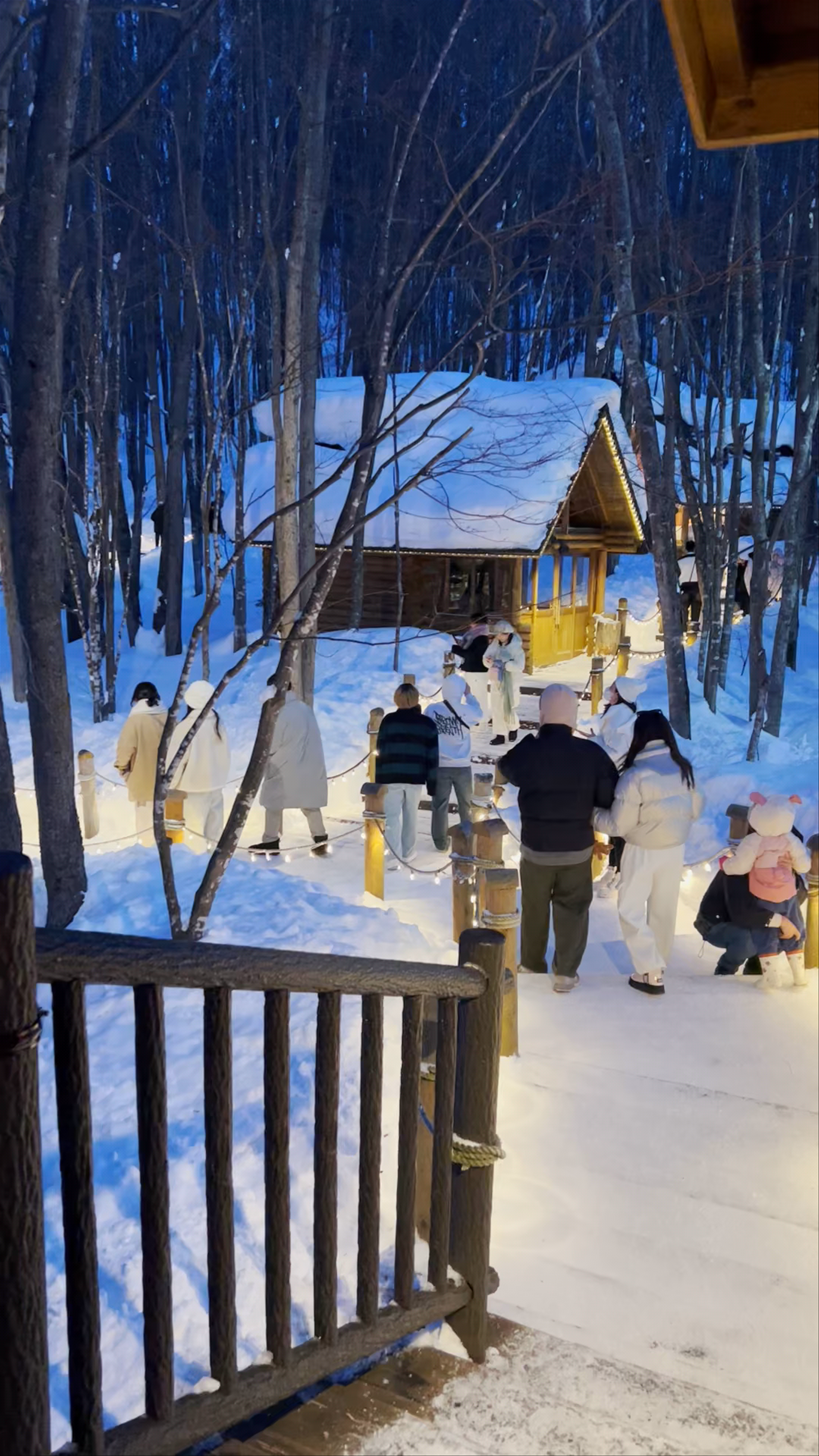 Enchanted Winter Evenings at Ningle Terrace, Furano