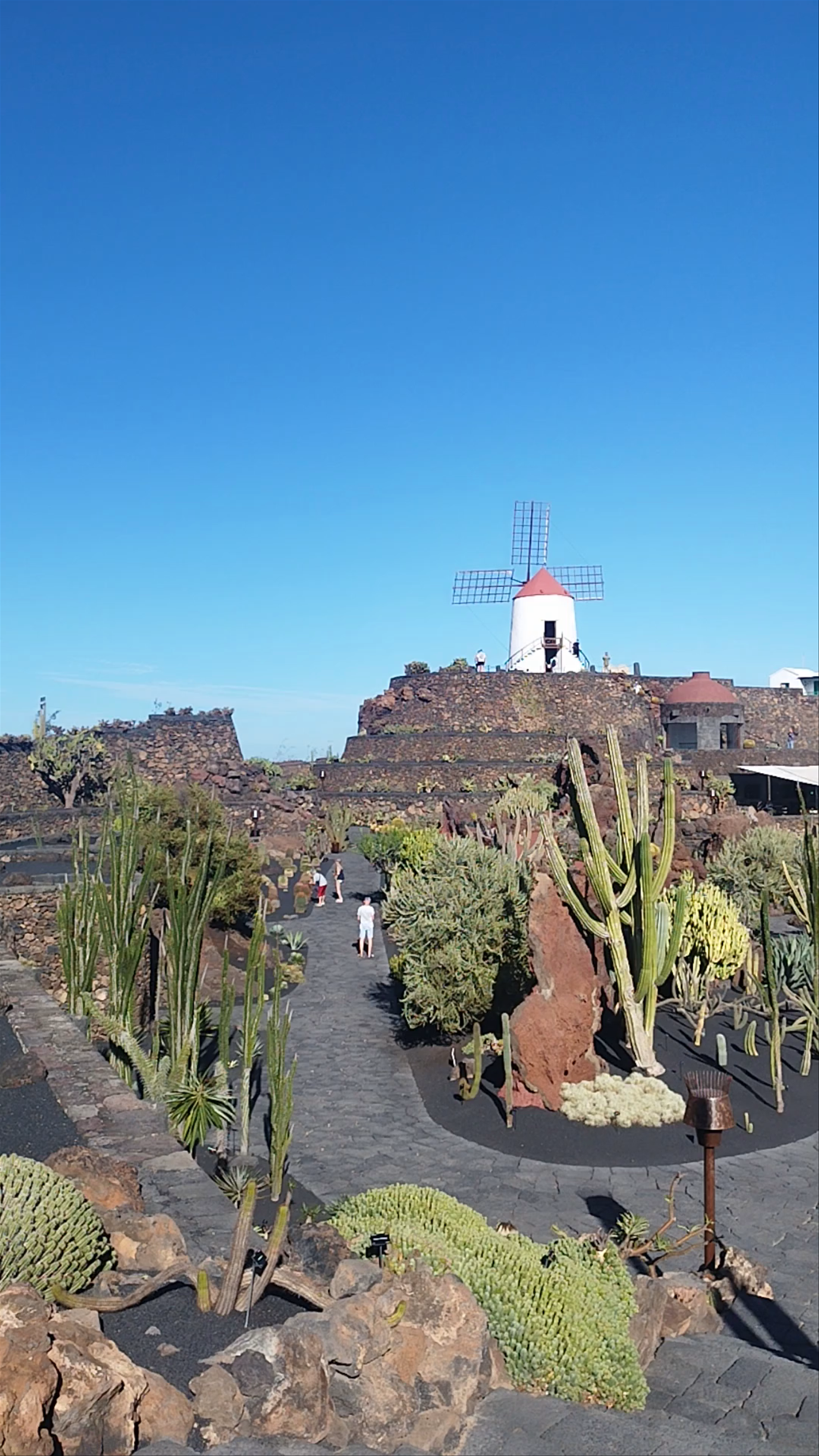 Jardín de Cactus: A Unique Botanical Oasis in Lanzarote
