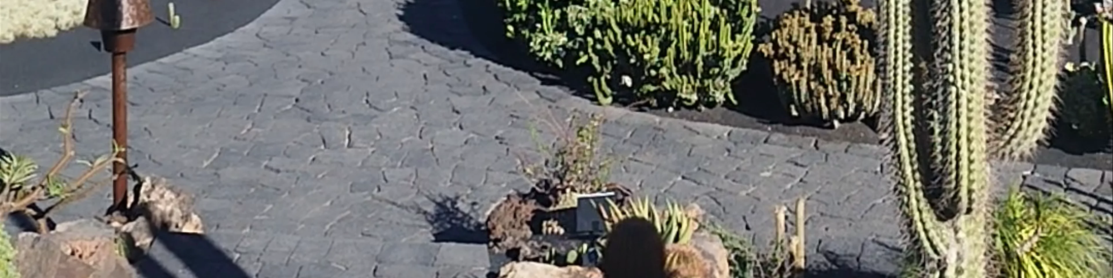 Jardín de Cactus | CACT Lanzarote