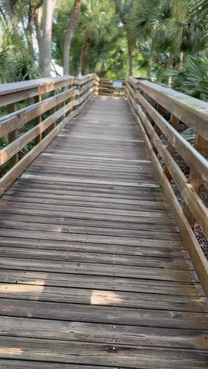 Wakodahatchee Wetlands - Parks Near Me - Delray Beach, Florida