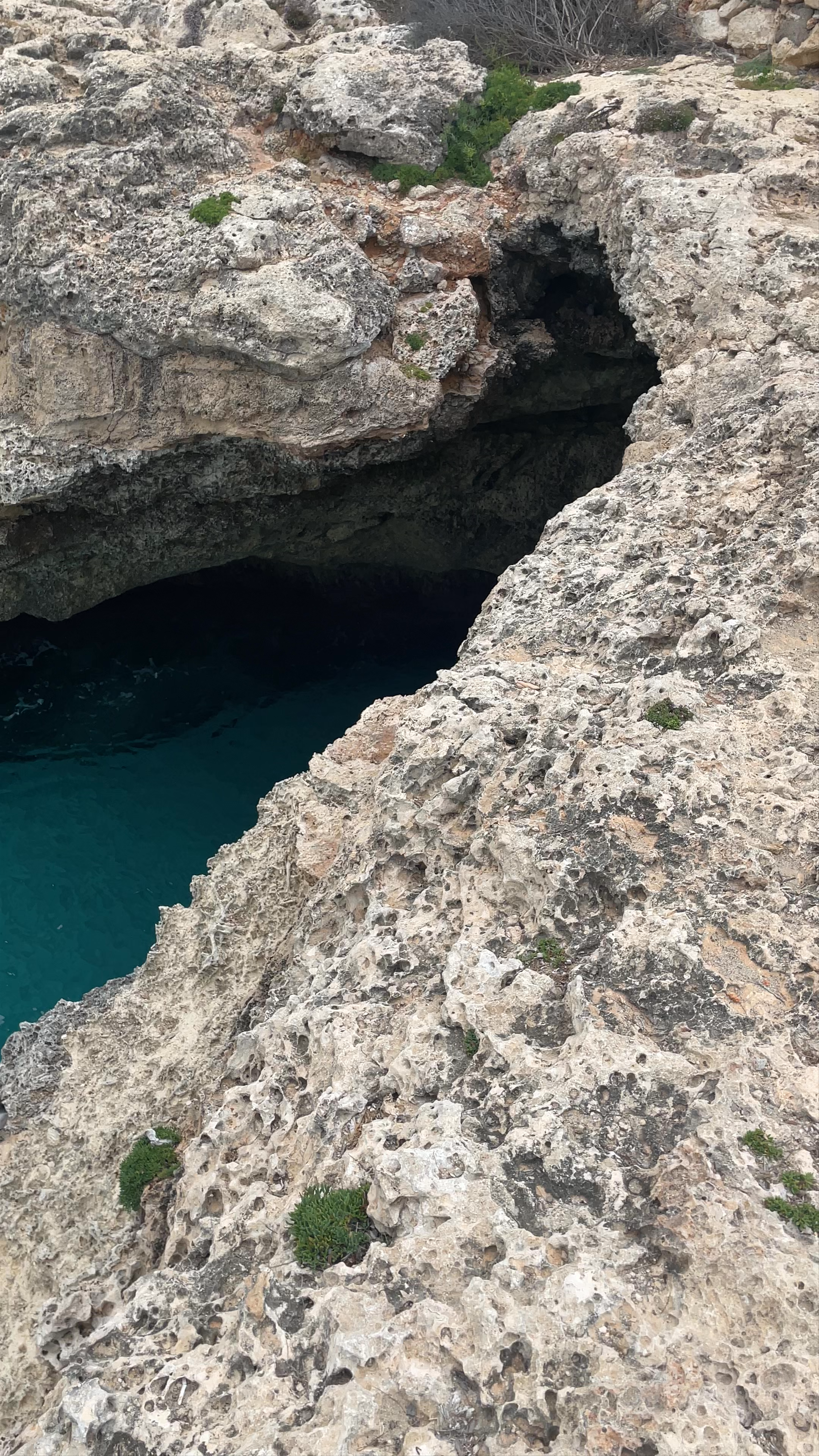 Cala domingos