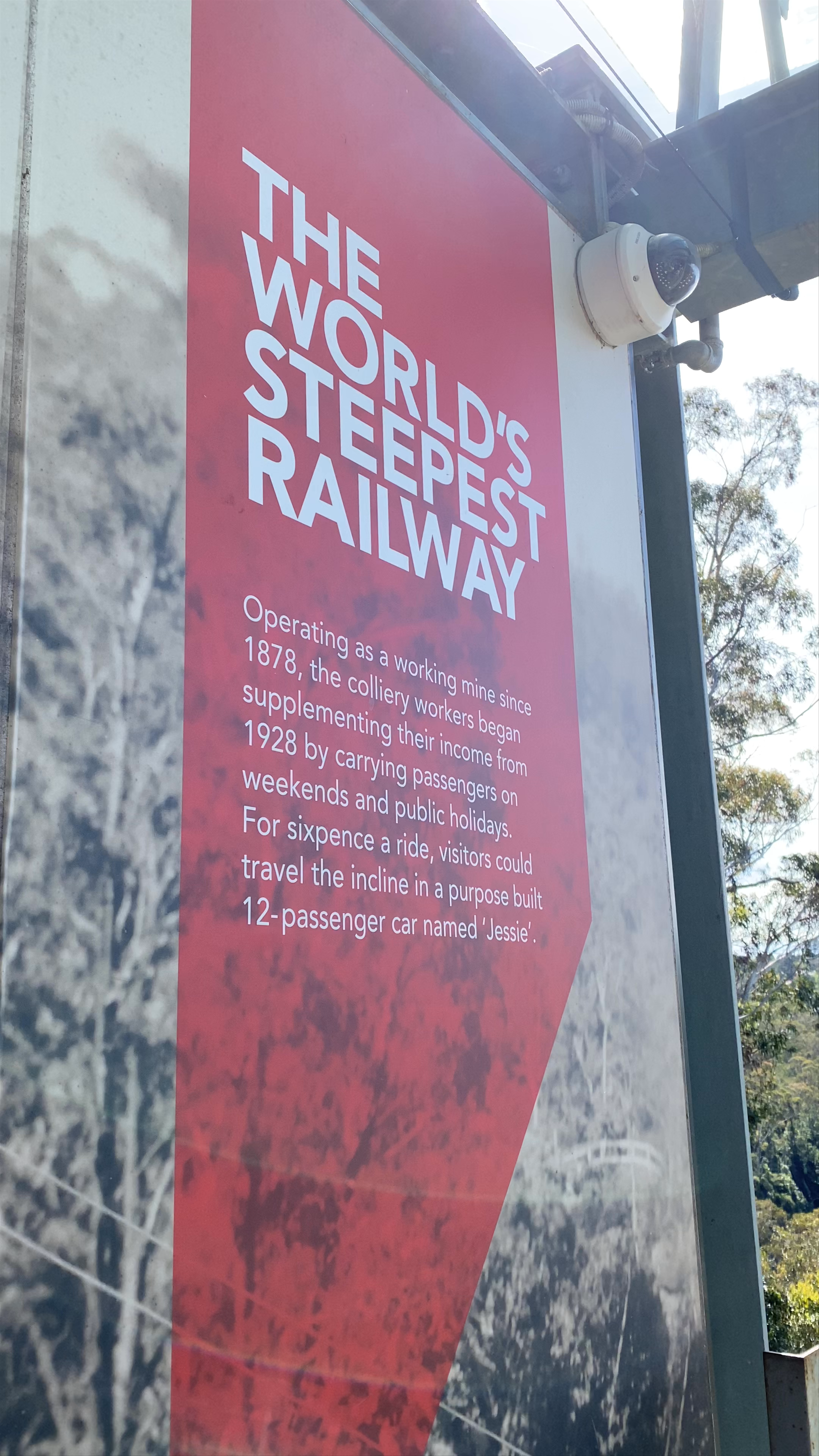 Scenic Railway