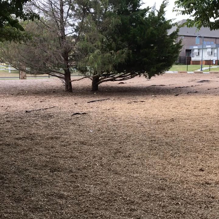 K9 Corral at Craig Ranch - Quiet space; lots of wood-chips - Dog Parks Near Me - McKinney, Texas